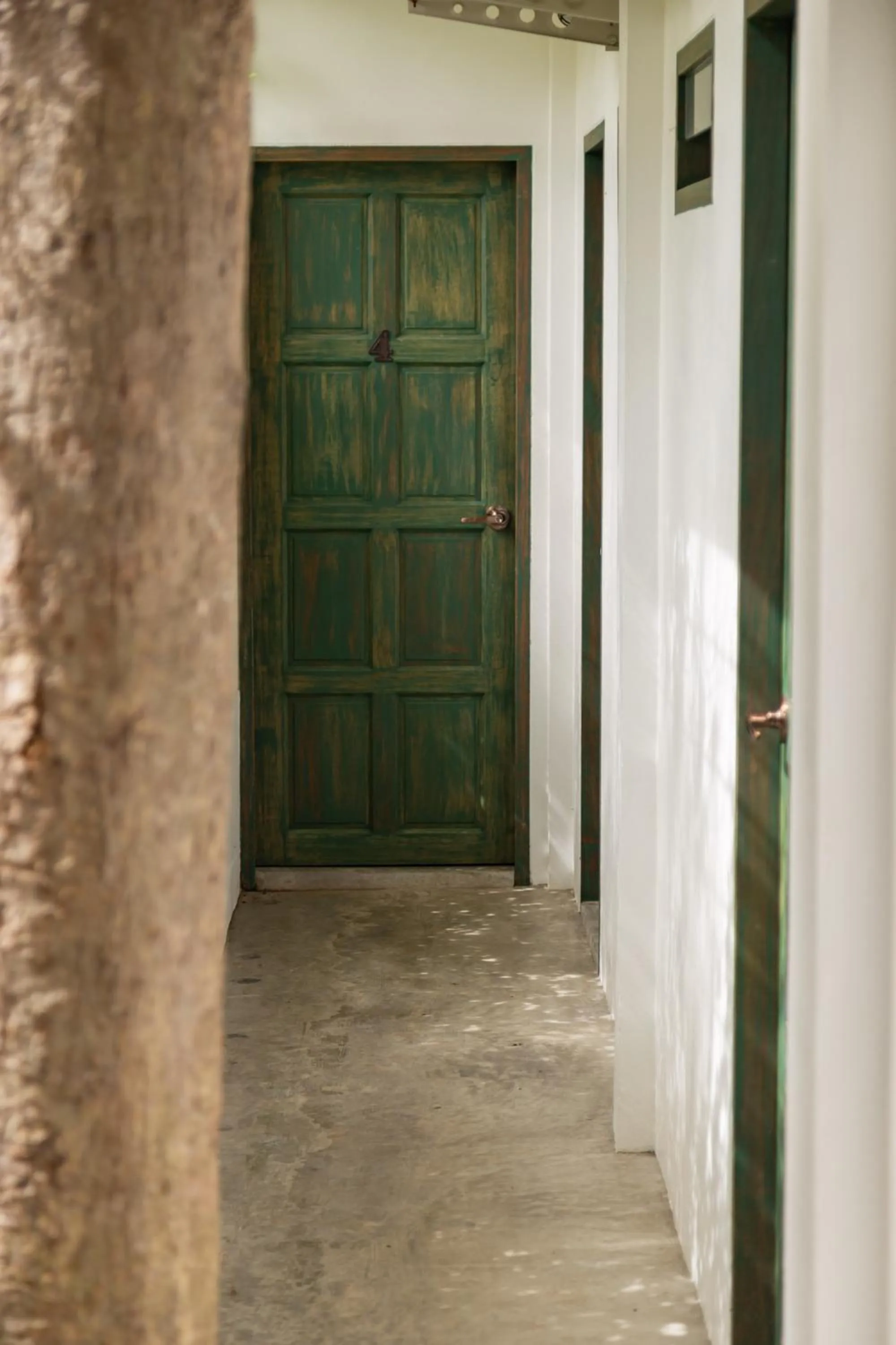 Facade/entrance in Big Tree Boutique Hotel