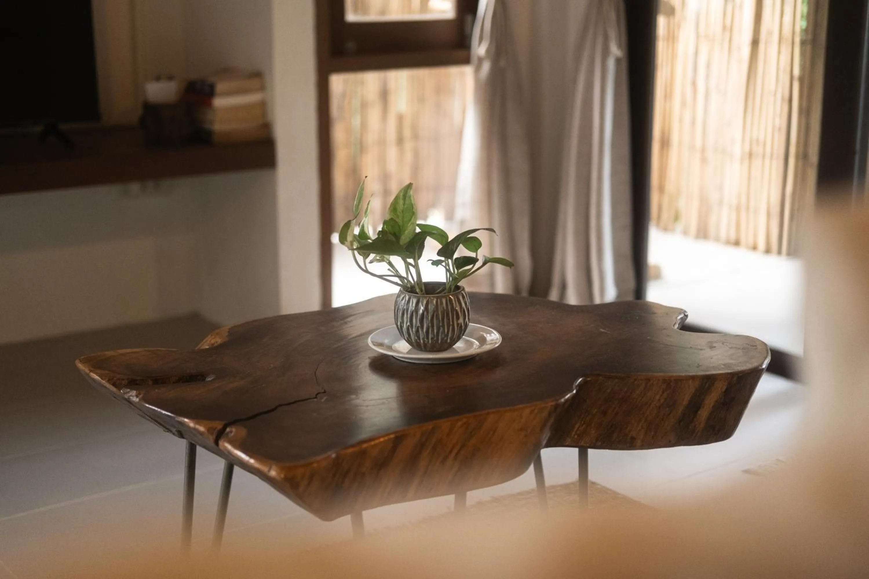 Living room in Big Tree Boutique Hotel