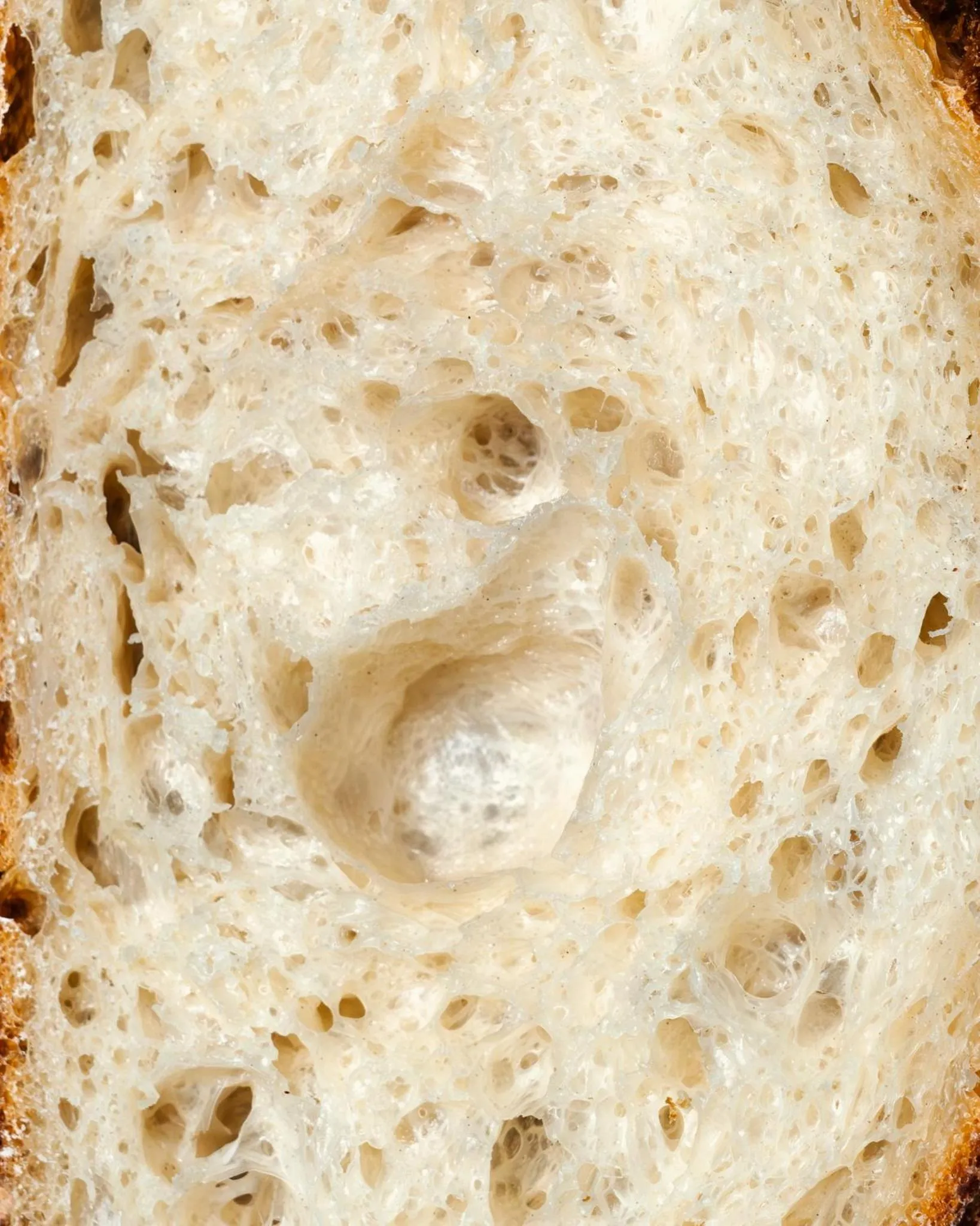 Big Tree Boutique Hotel