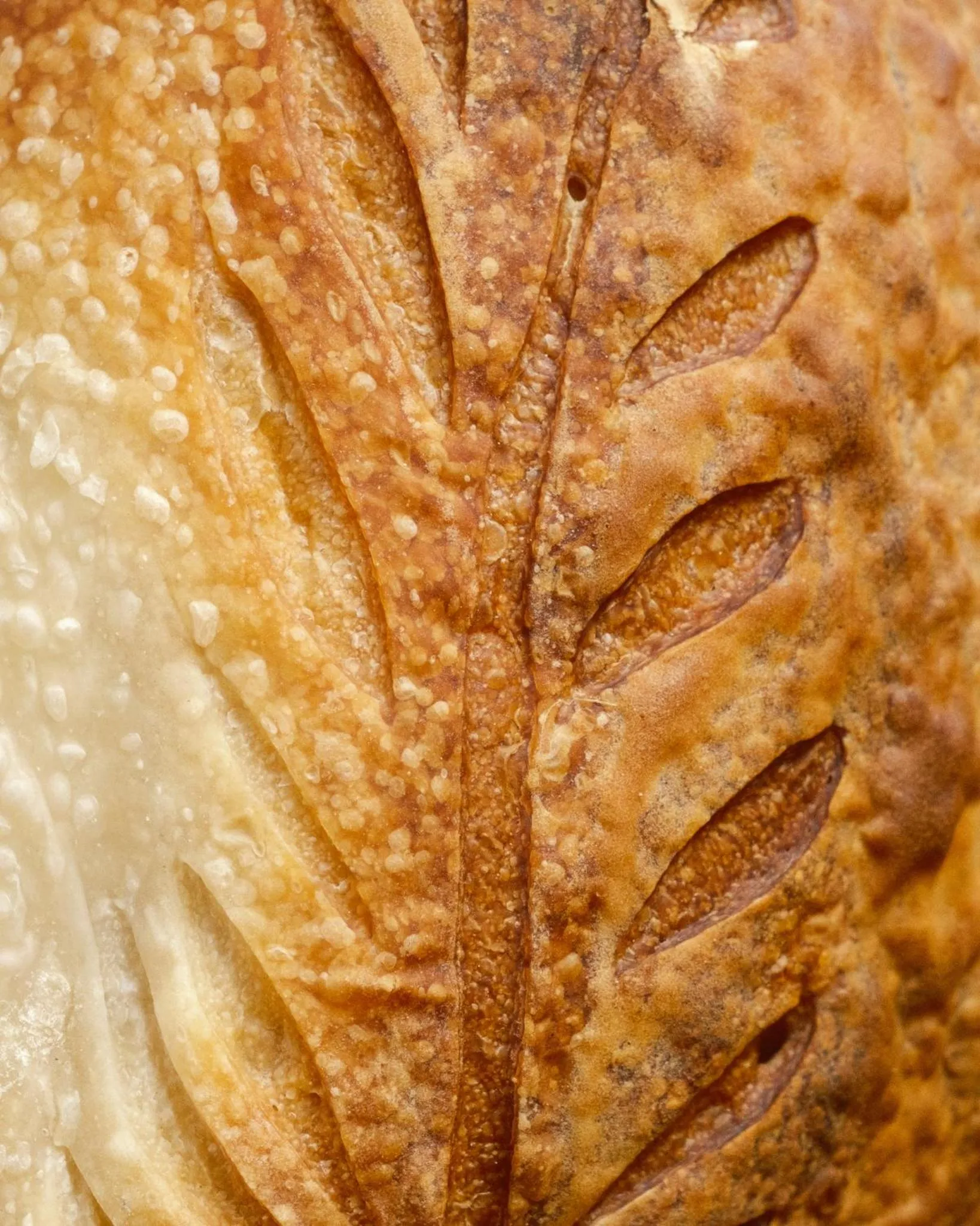 Food in Big Tree Boutique Hotel