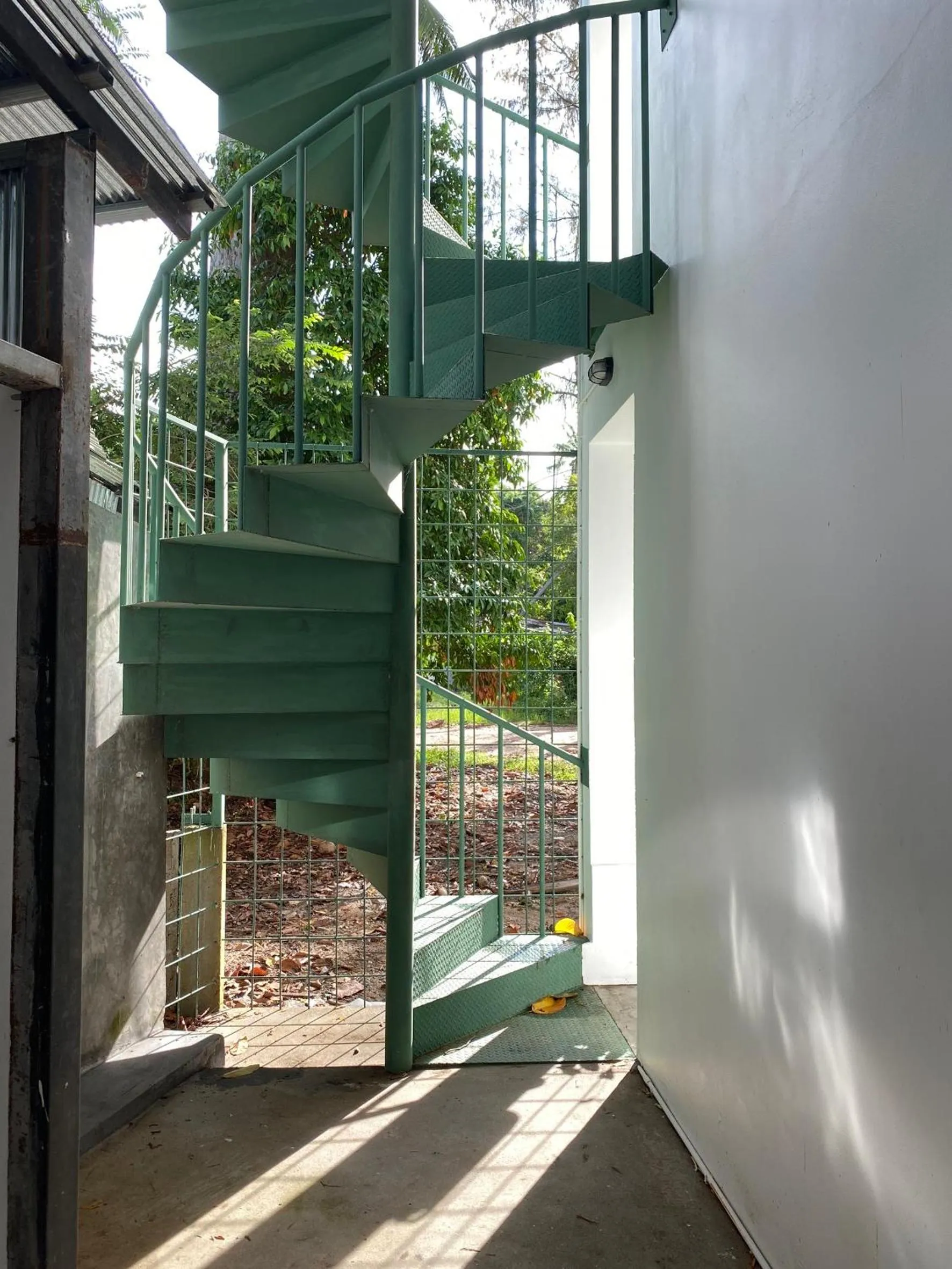 Property building in Big Tree Boutique Hotel