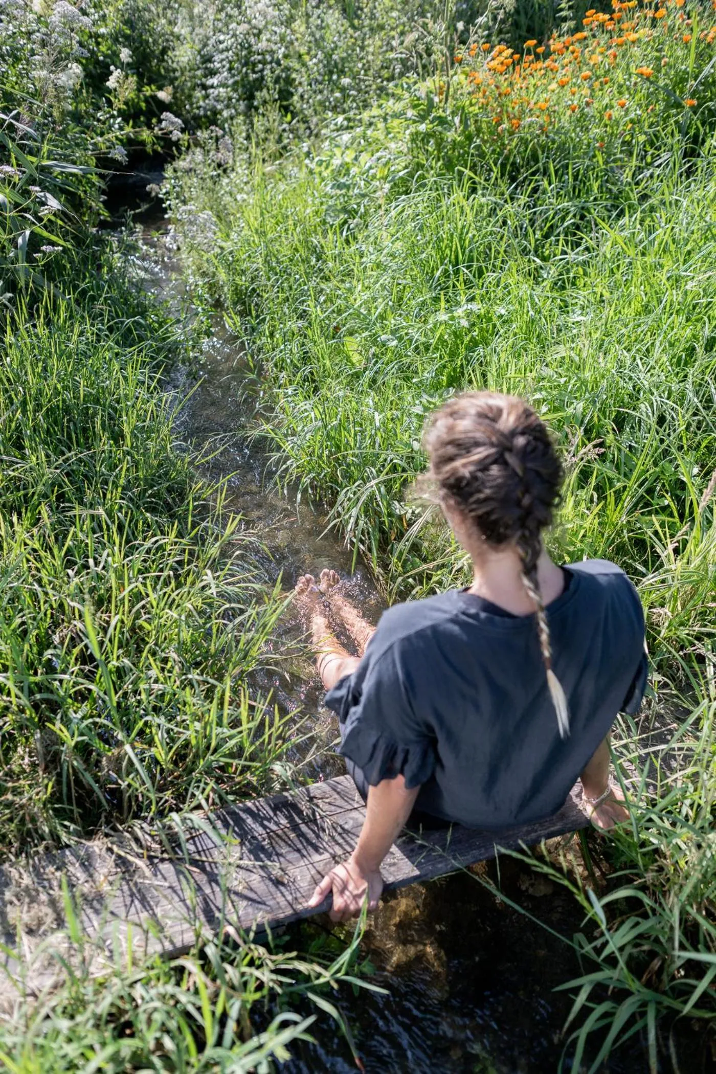 Natural landscape in Hotel Hurtmuehle Kronblick
