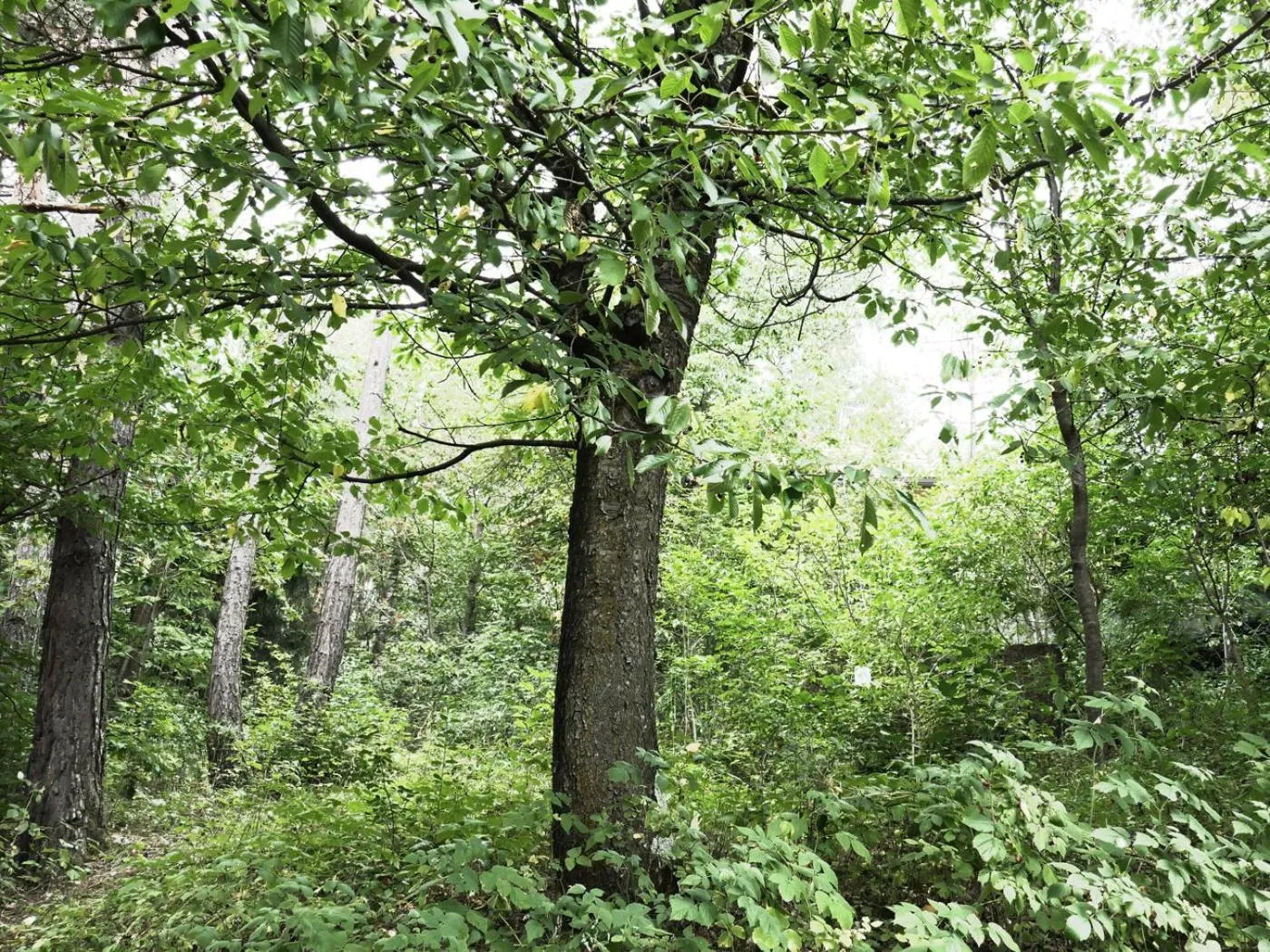 Off site in Hotel Hurtmuehle Kronblick