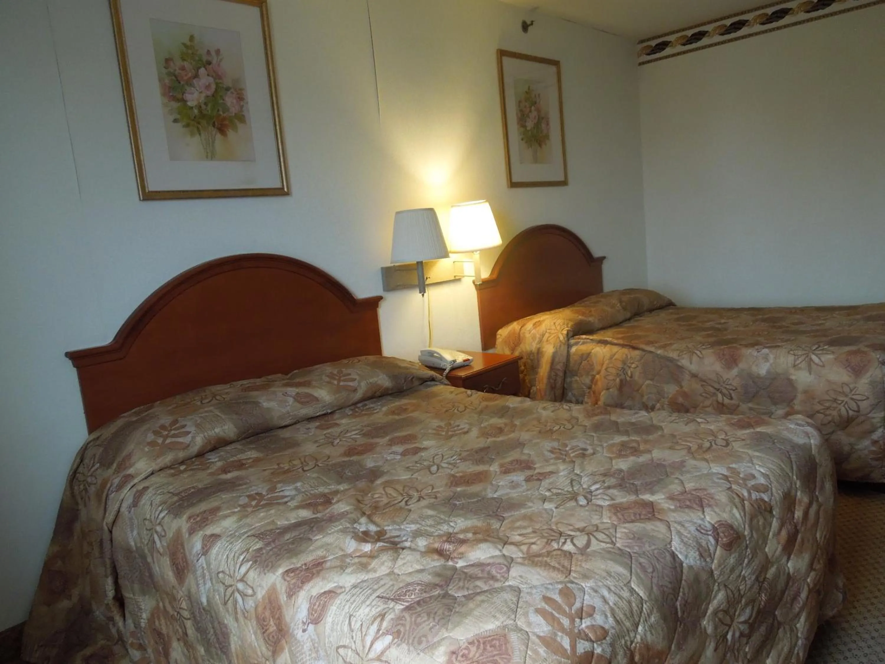 Bed in Red Carpet Inn Brooklyn