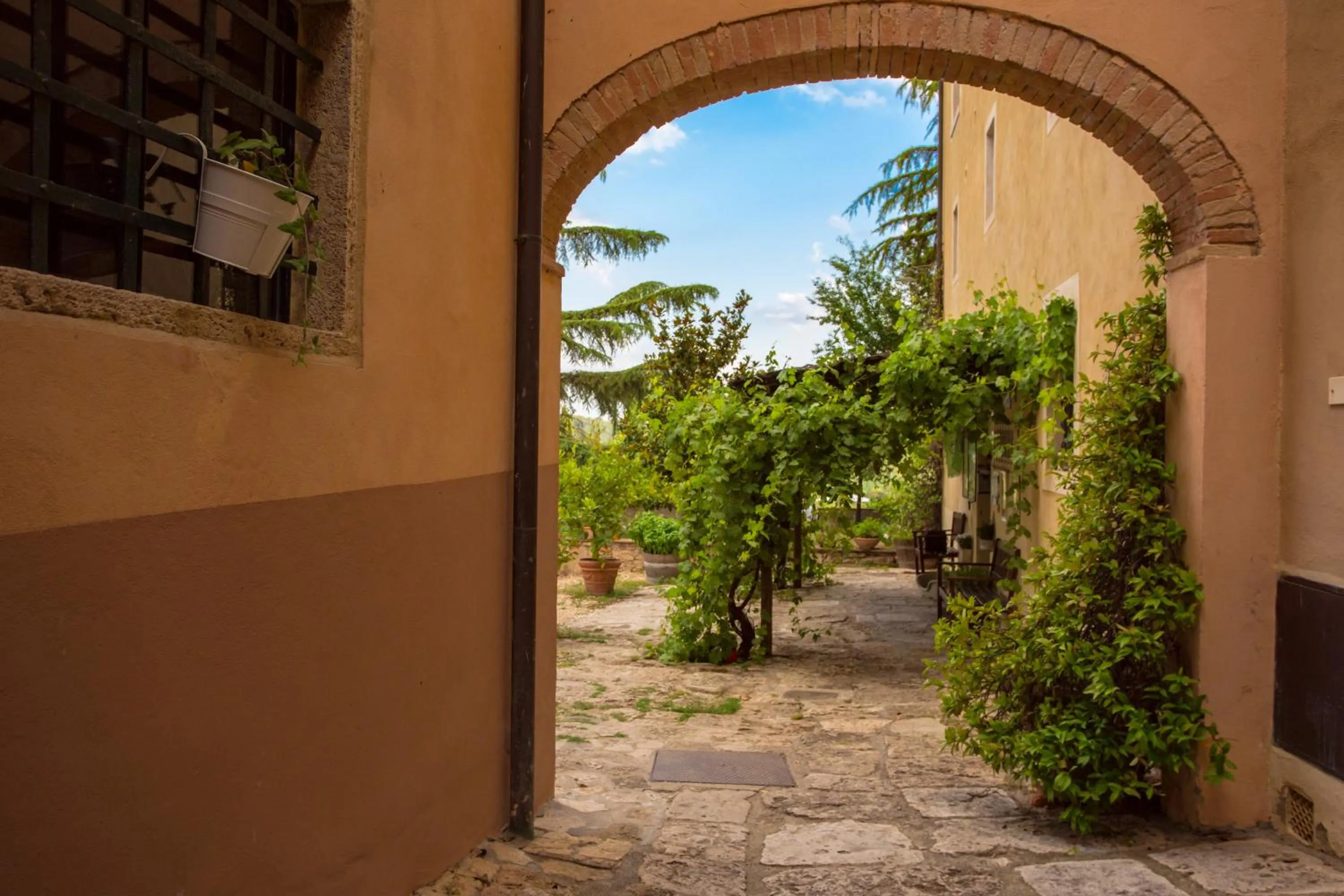 Garden view in Torraccia di Chiusi Agriturismo Relais
