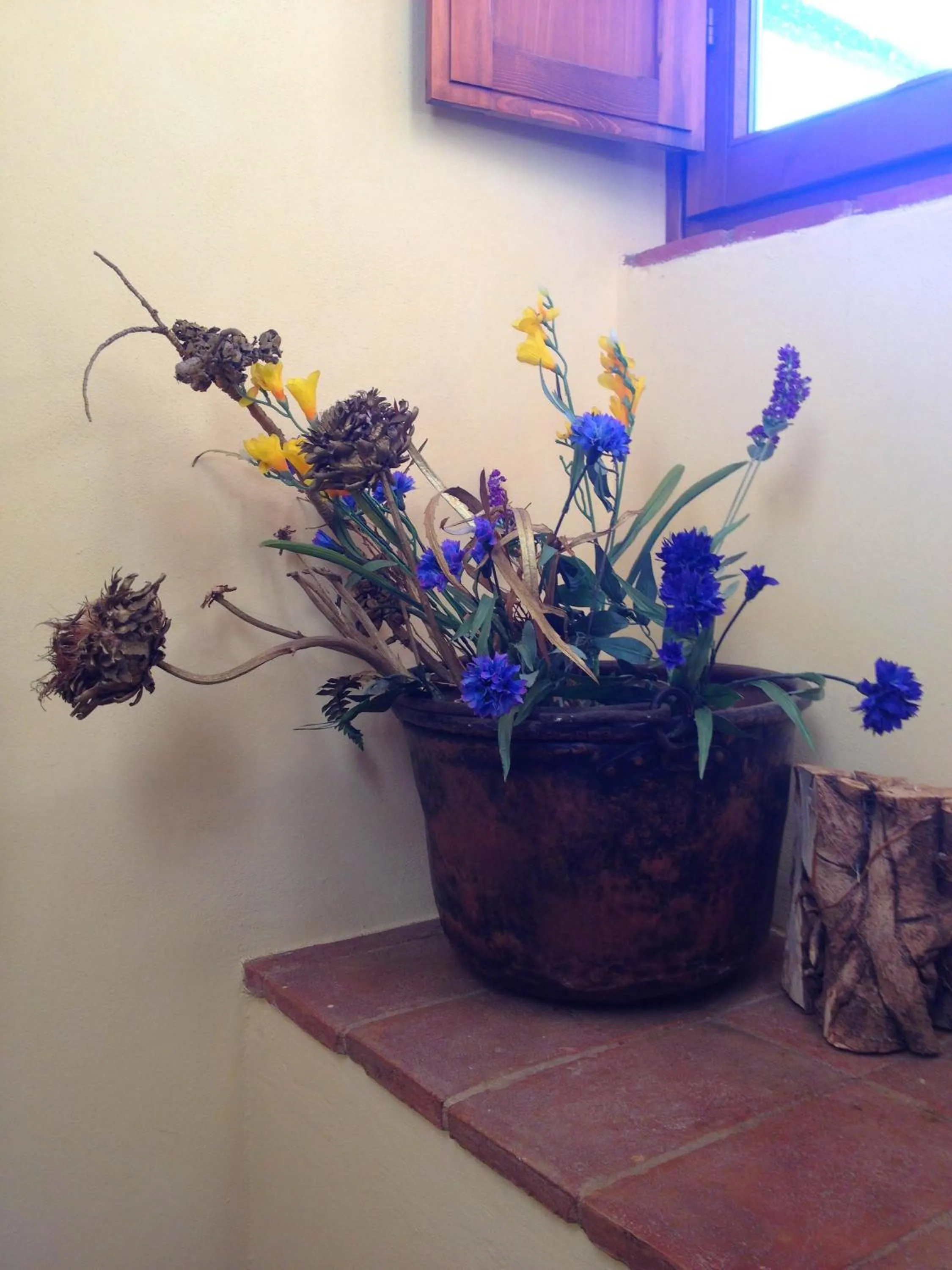 Other in Torraccia di Chiusi Agriturismo Relais