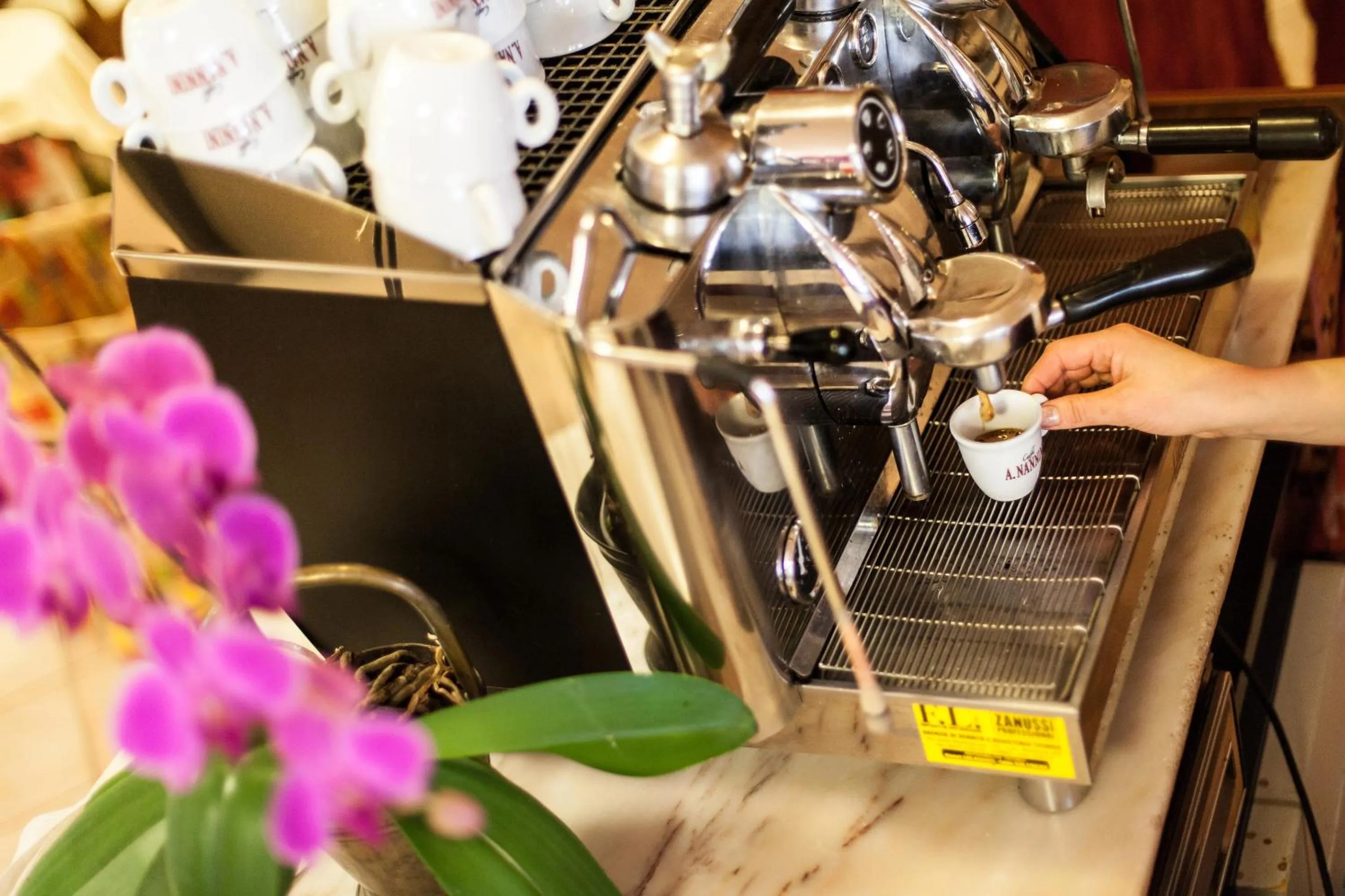 Staff in Hotel Fabbrini