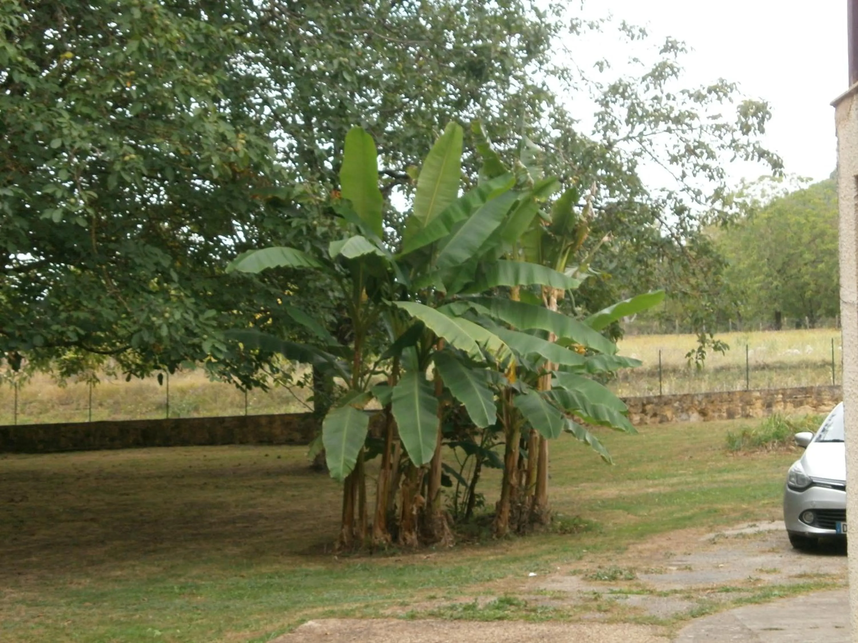 Garden in les noyers