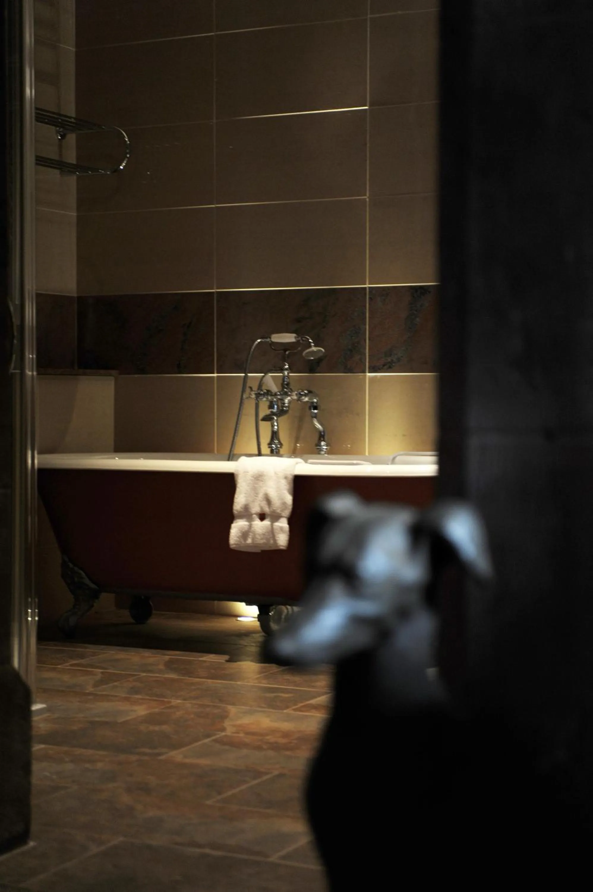 Bathroom in Peckforton Castle