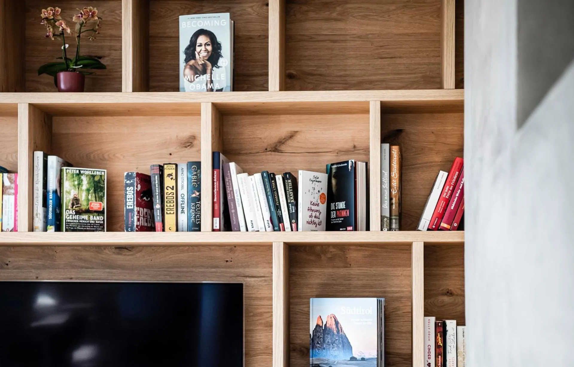 Library in Aparthotel Panorama Living Dolomites