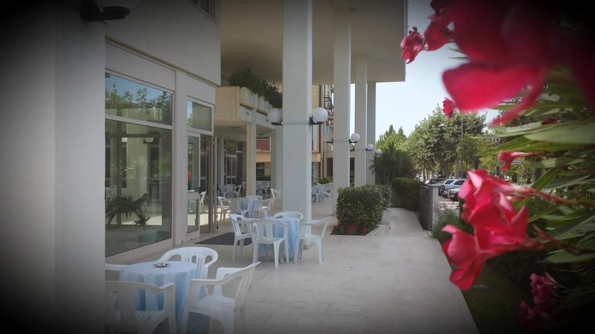 Restaurant/places to eat in Hotel Miramare