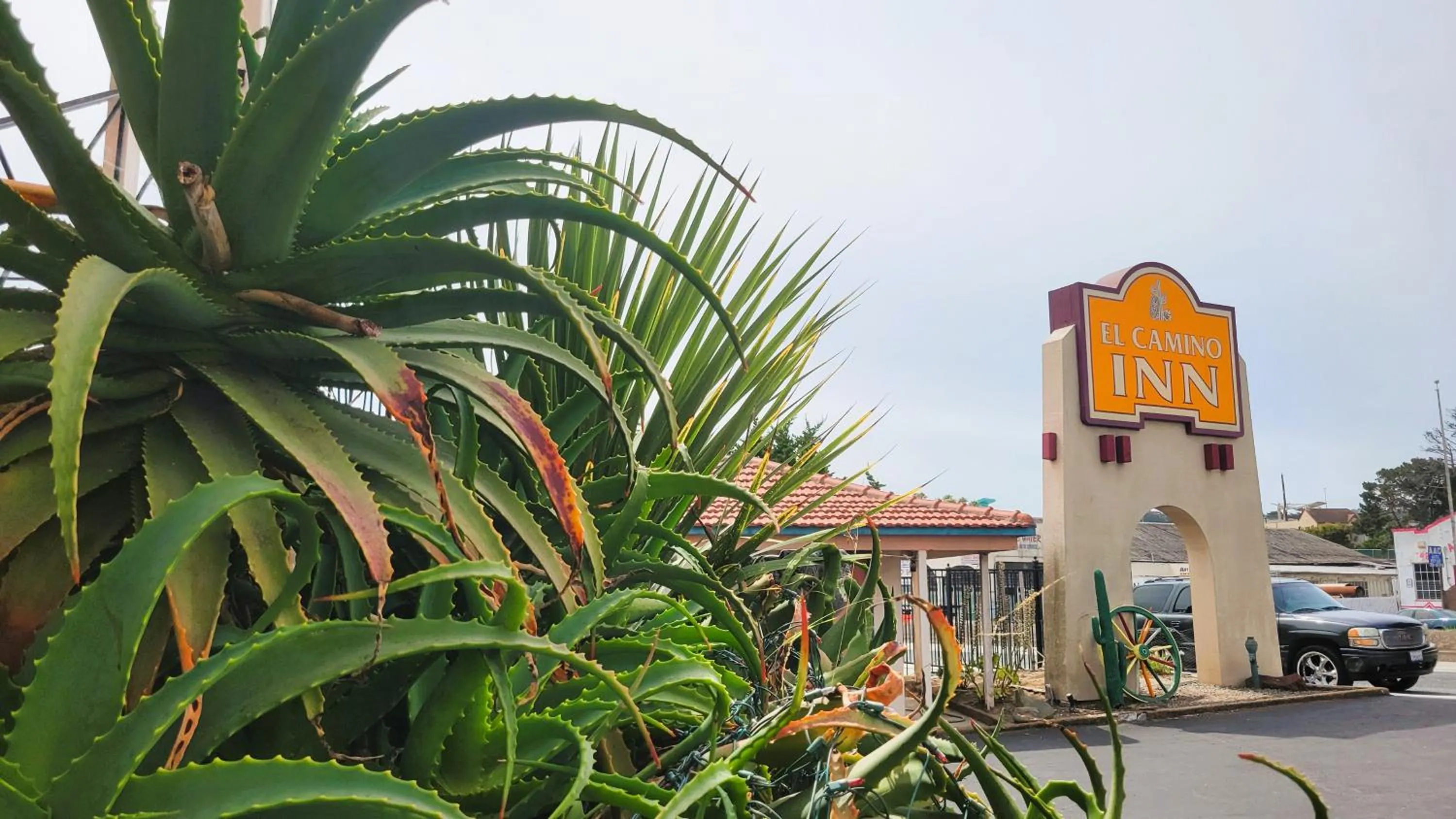 Logo/Certificate/Sign in El Camino Inn