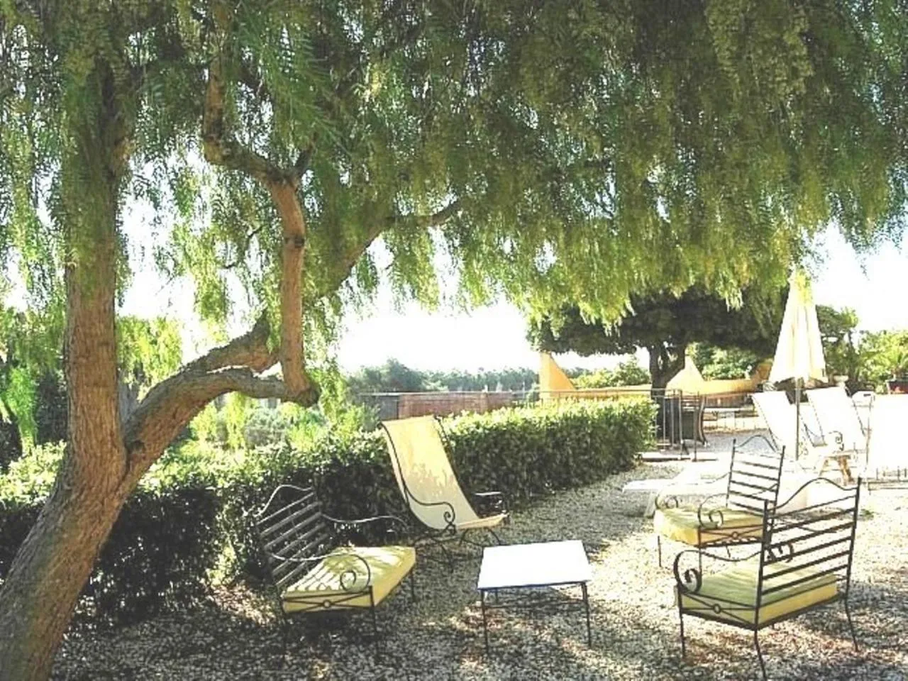 Garden view in Oasi Del Fiumefreddo