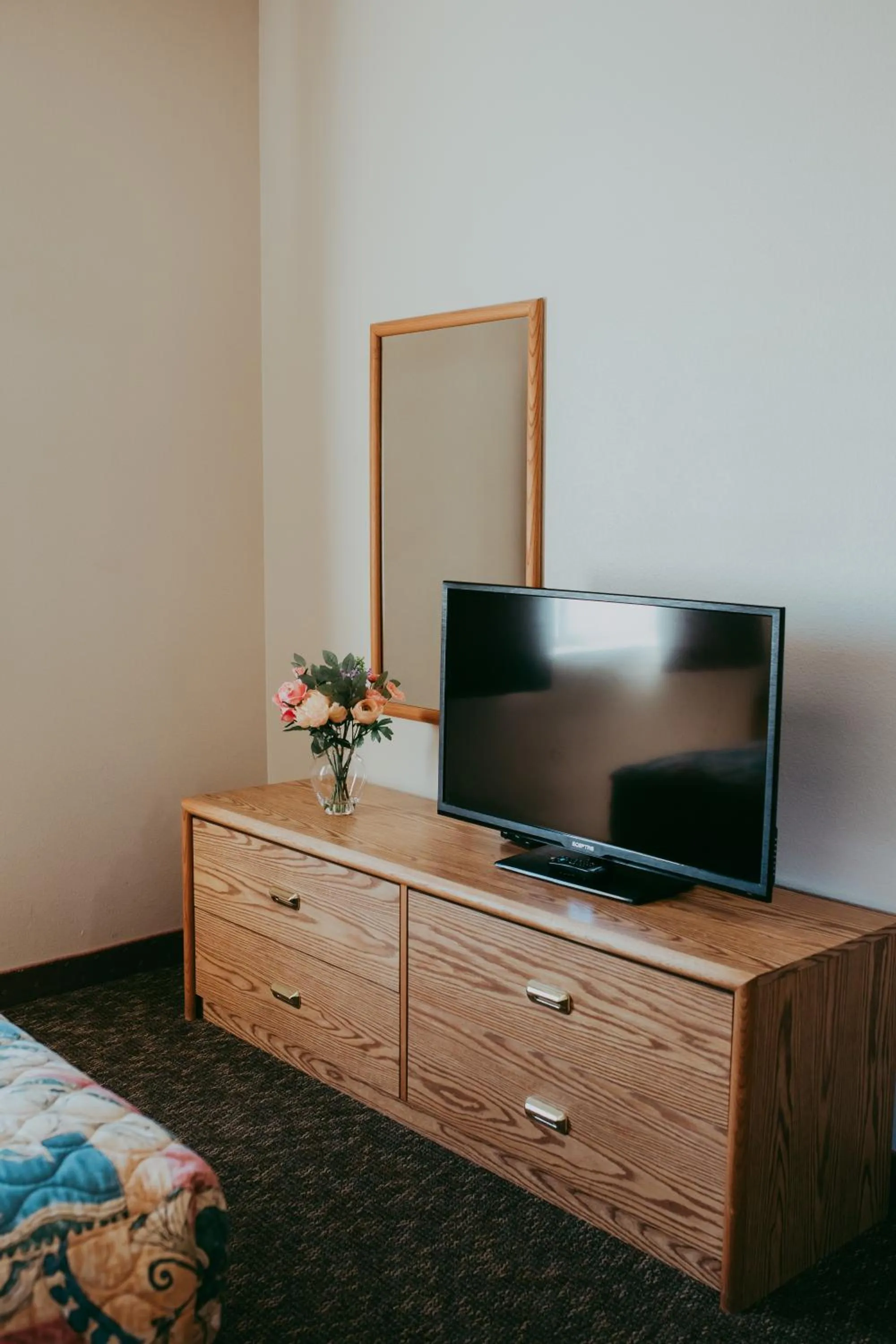 TV and multimedia in Carson City Plaza Hotel