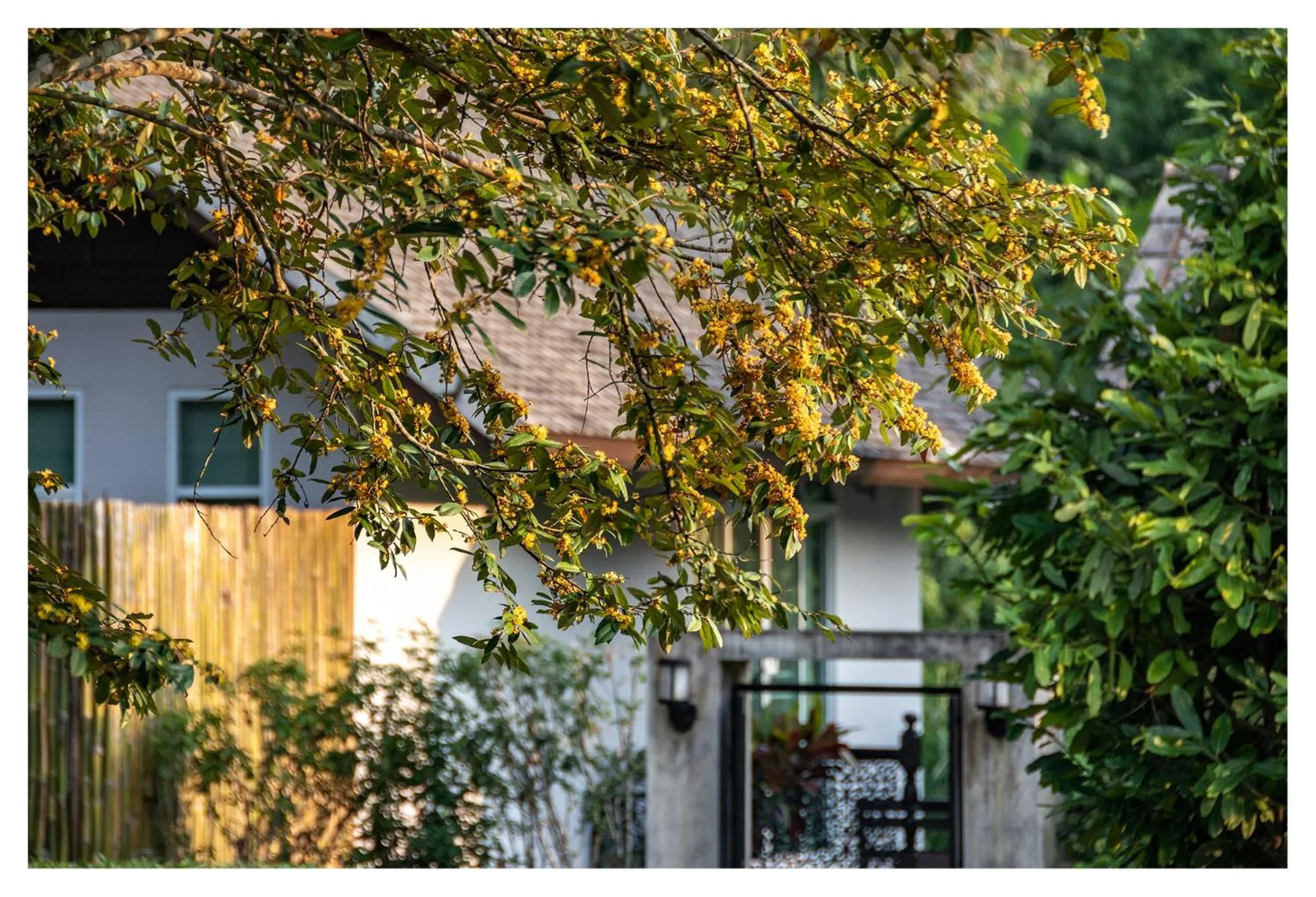 Property building in PAK RAM