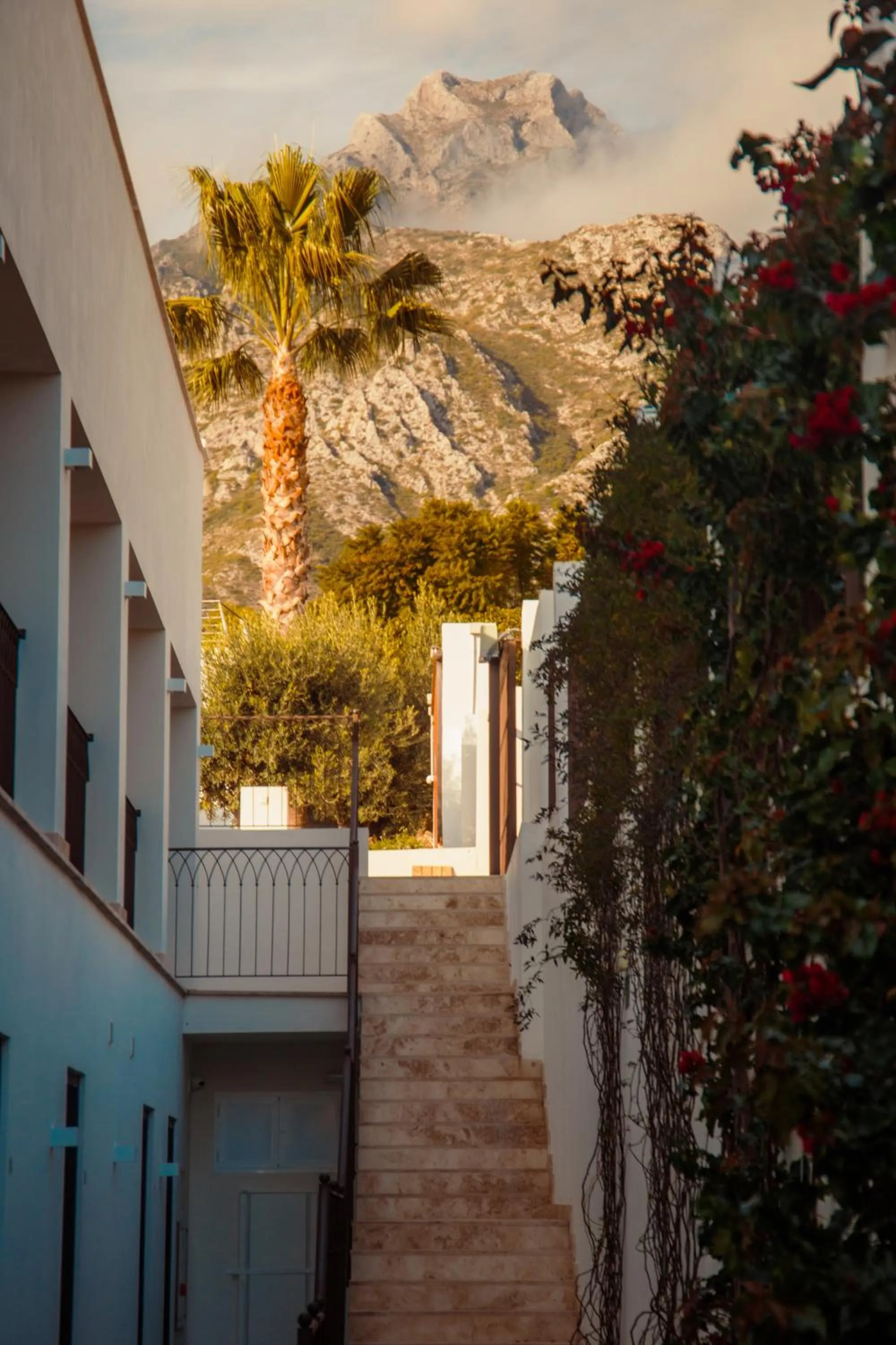 Mountain view in Sierra Blanca Resort Art of Healing