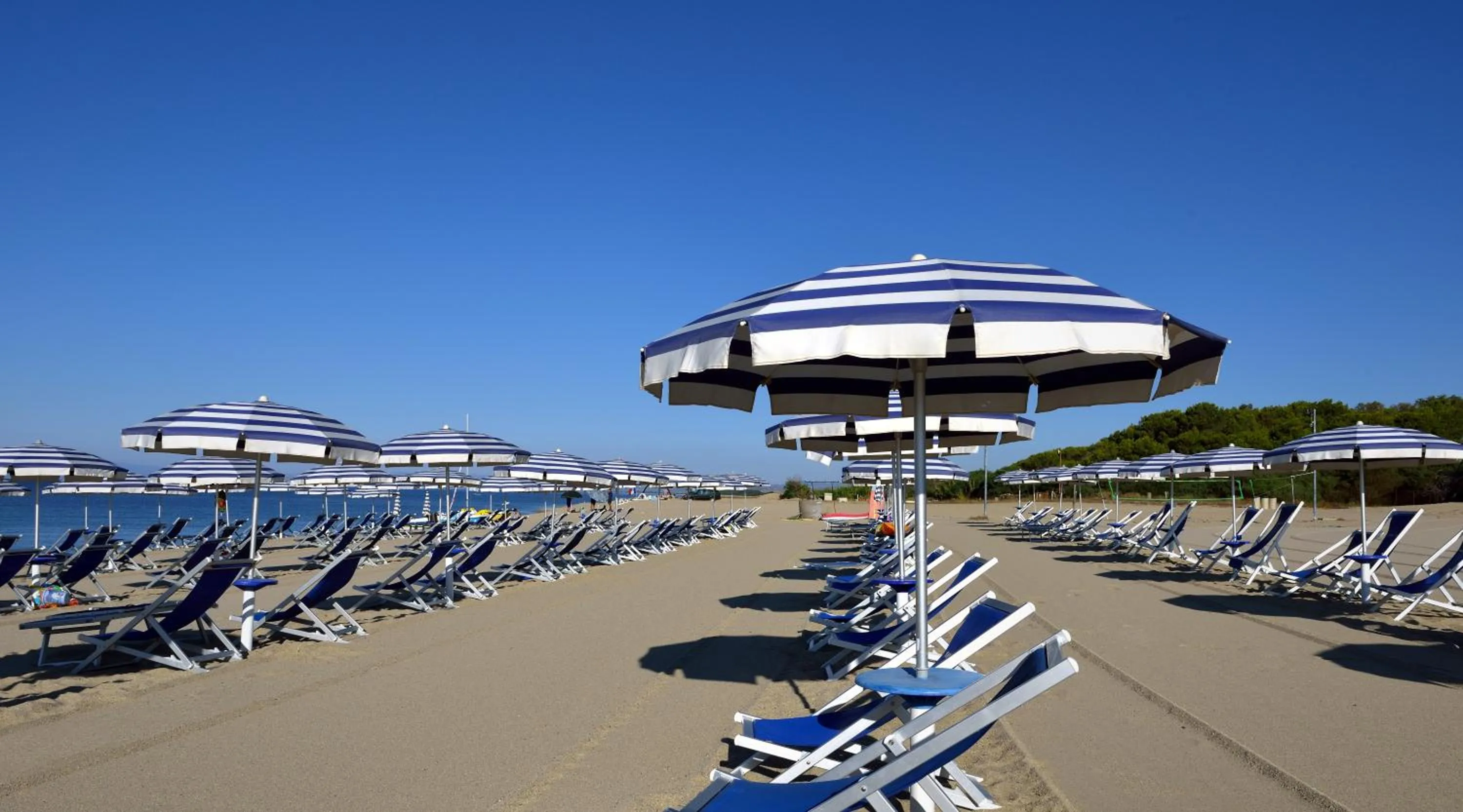 Beach in Santa Monica Resort