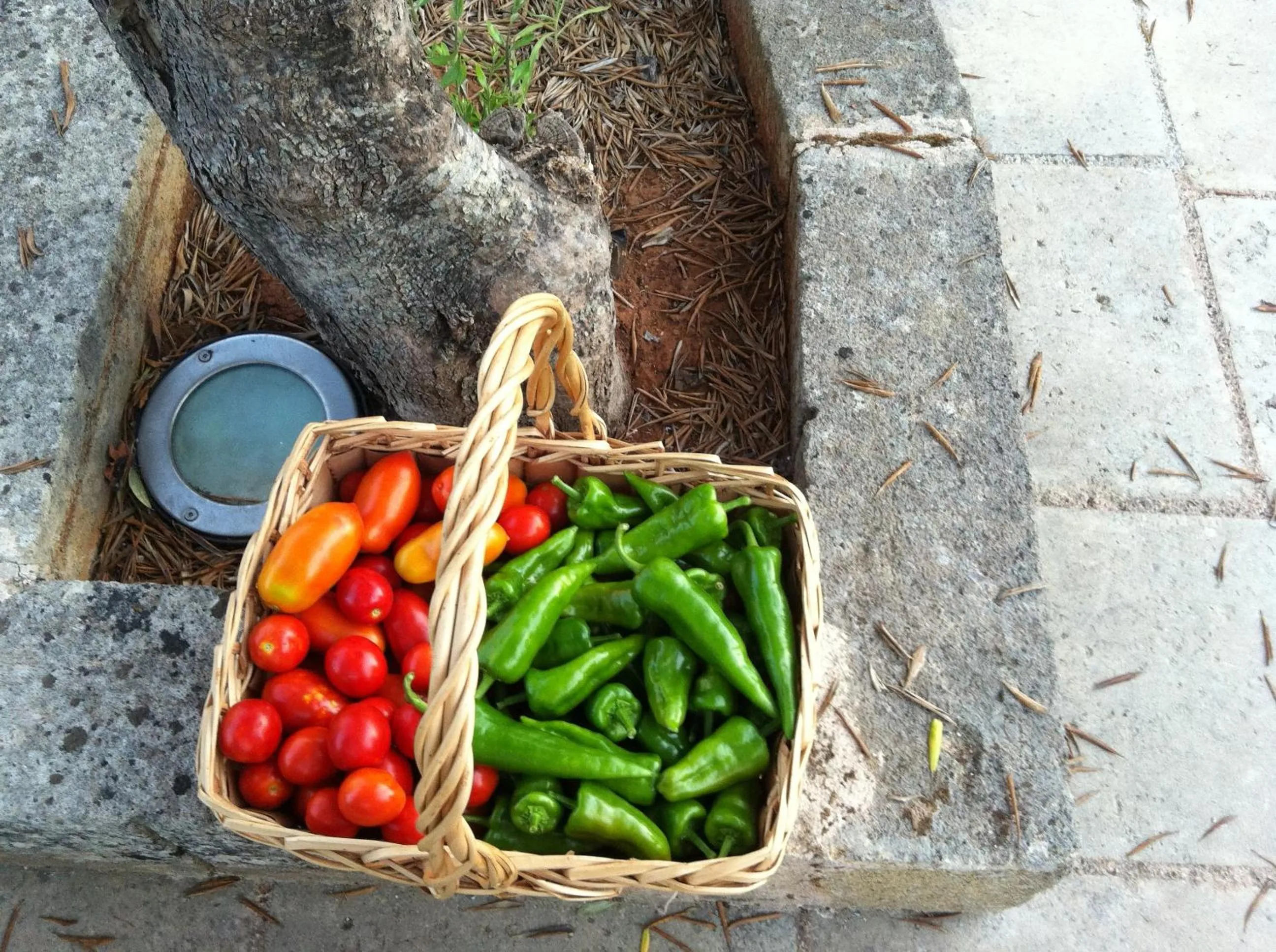 Other in Tenuta De Marco