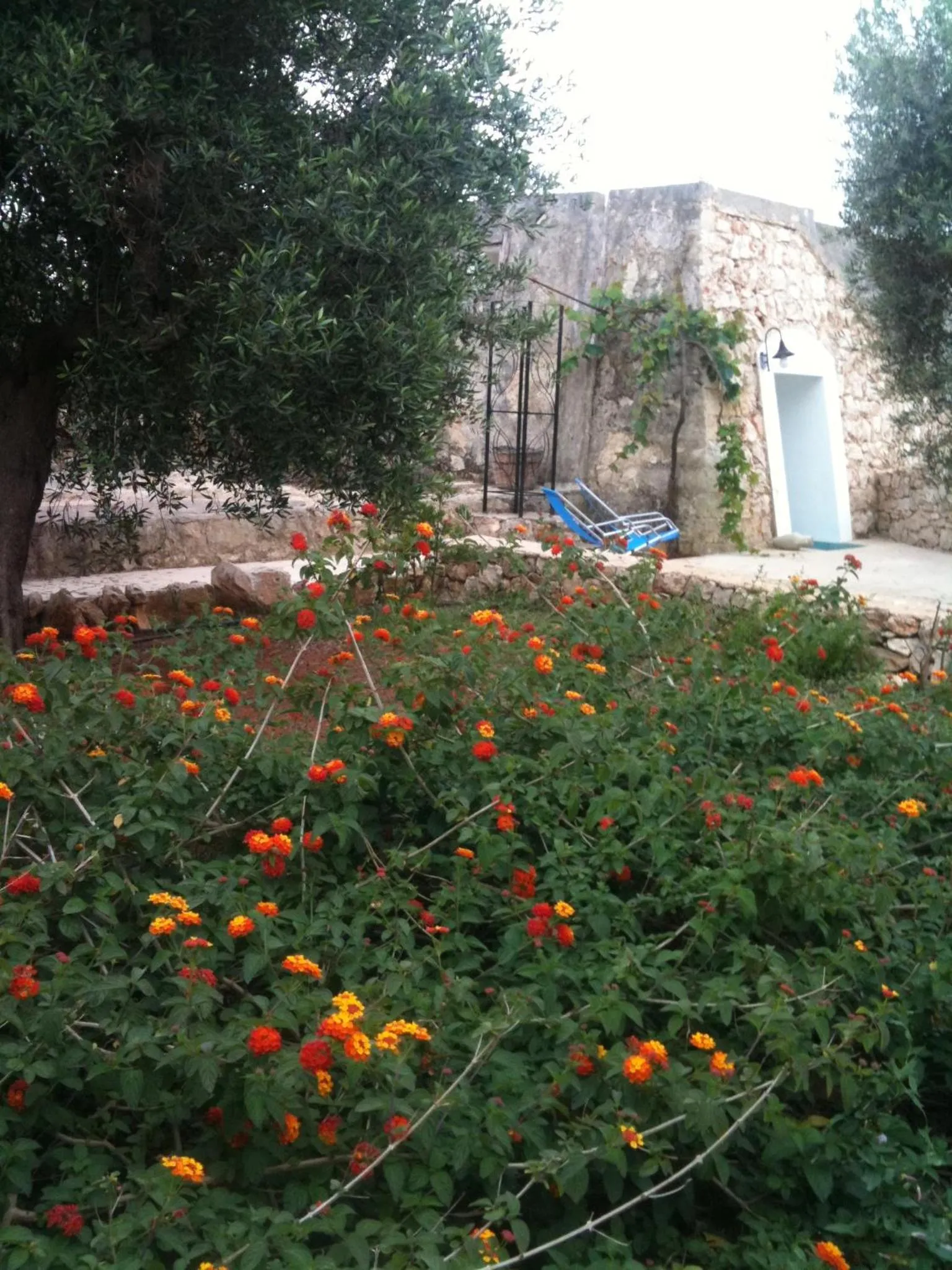 Garden in Tenuta De Marco