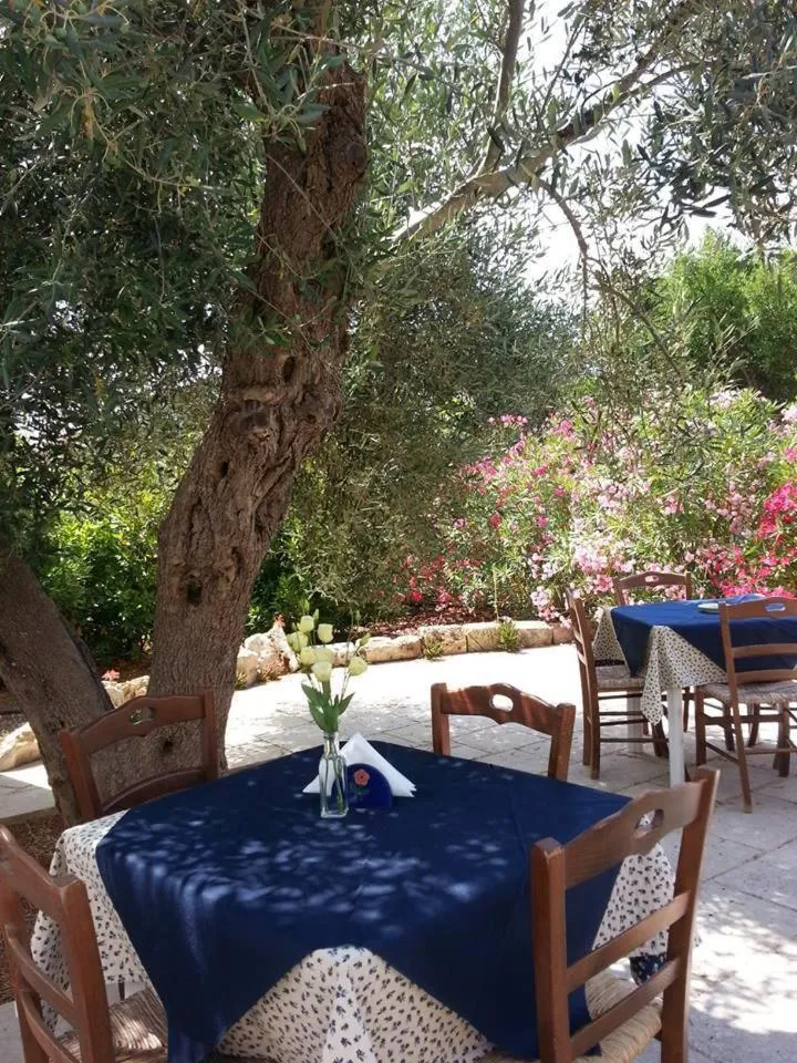 Garden in Tenuta De Marco