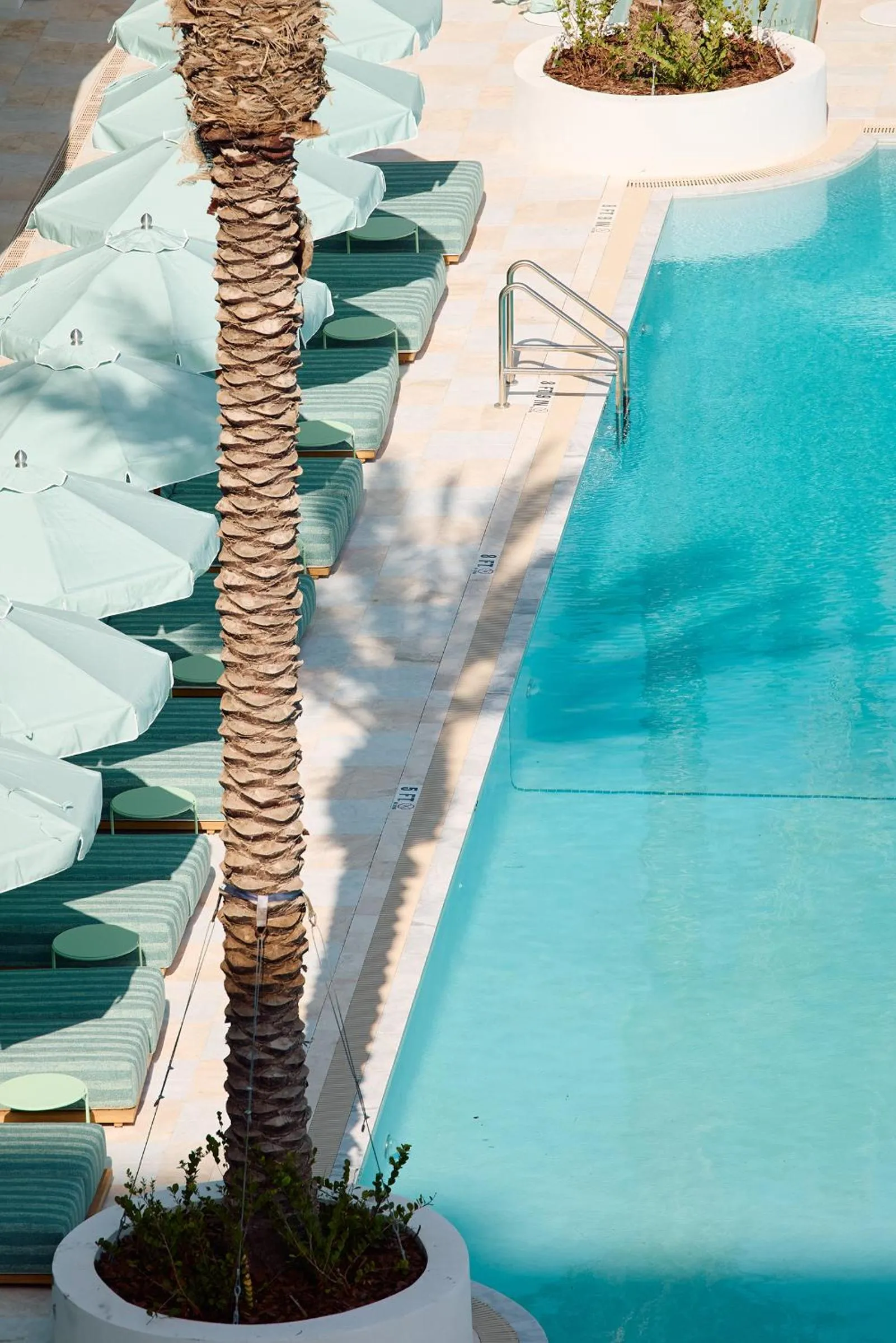 Swimming pool in The Shelborne by Proper, a Member of Design Hotels