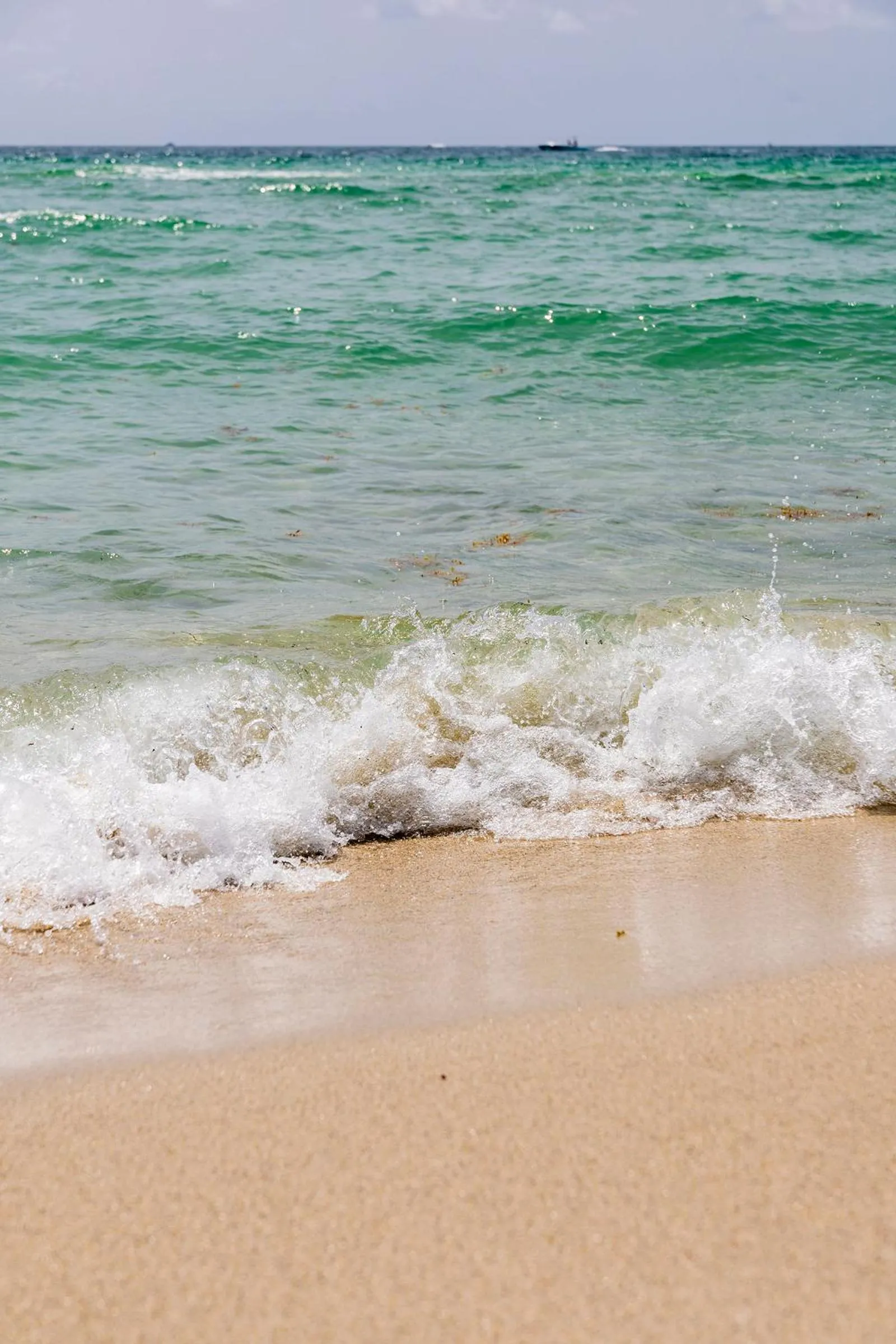 Beach in The Shelborne by Proper, a Member of Design Hotels