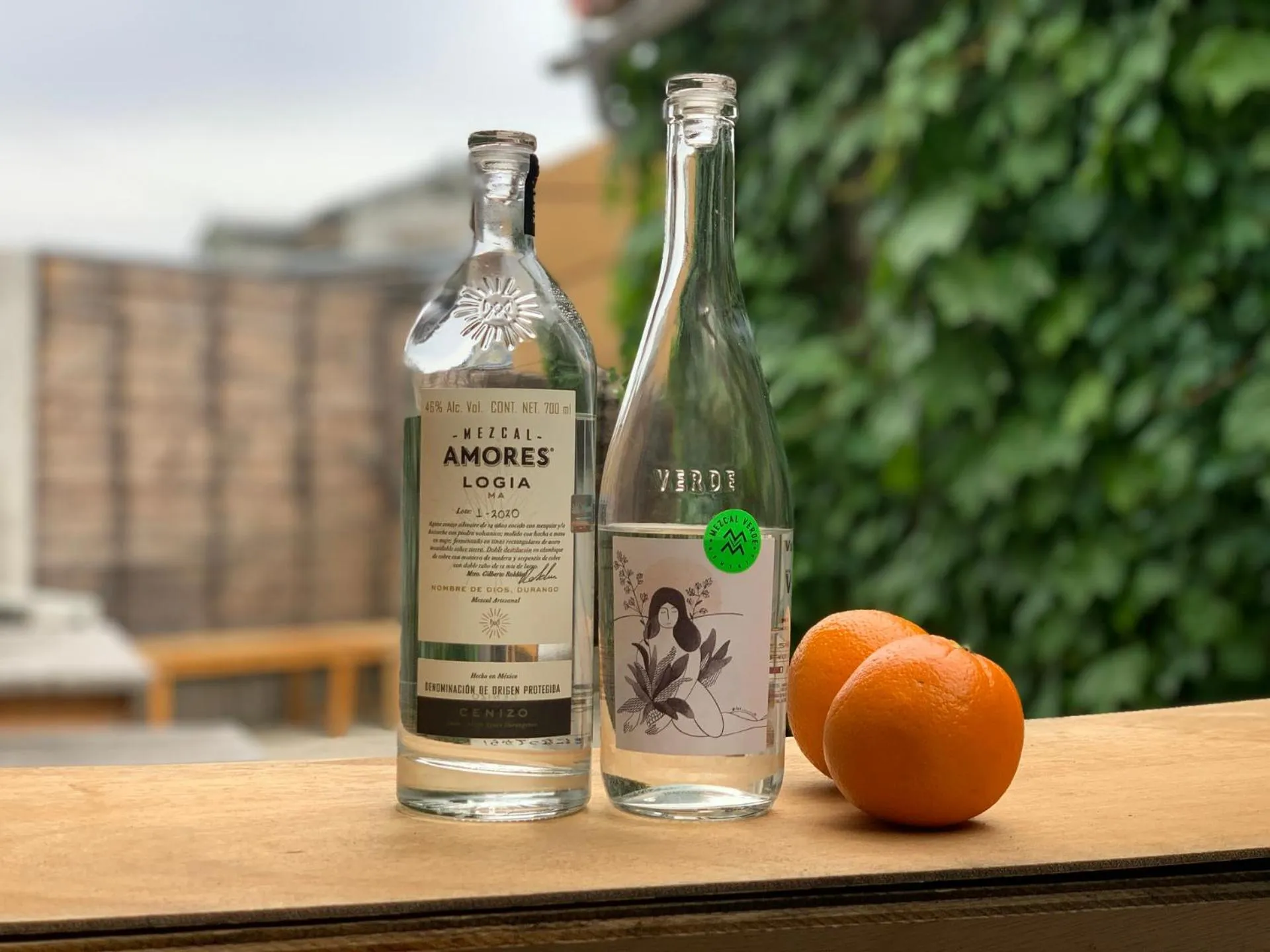 Lounge or bar in hostel mog