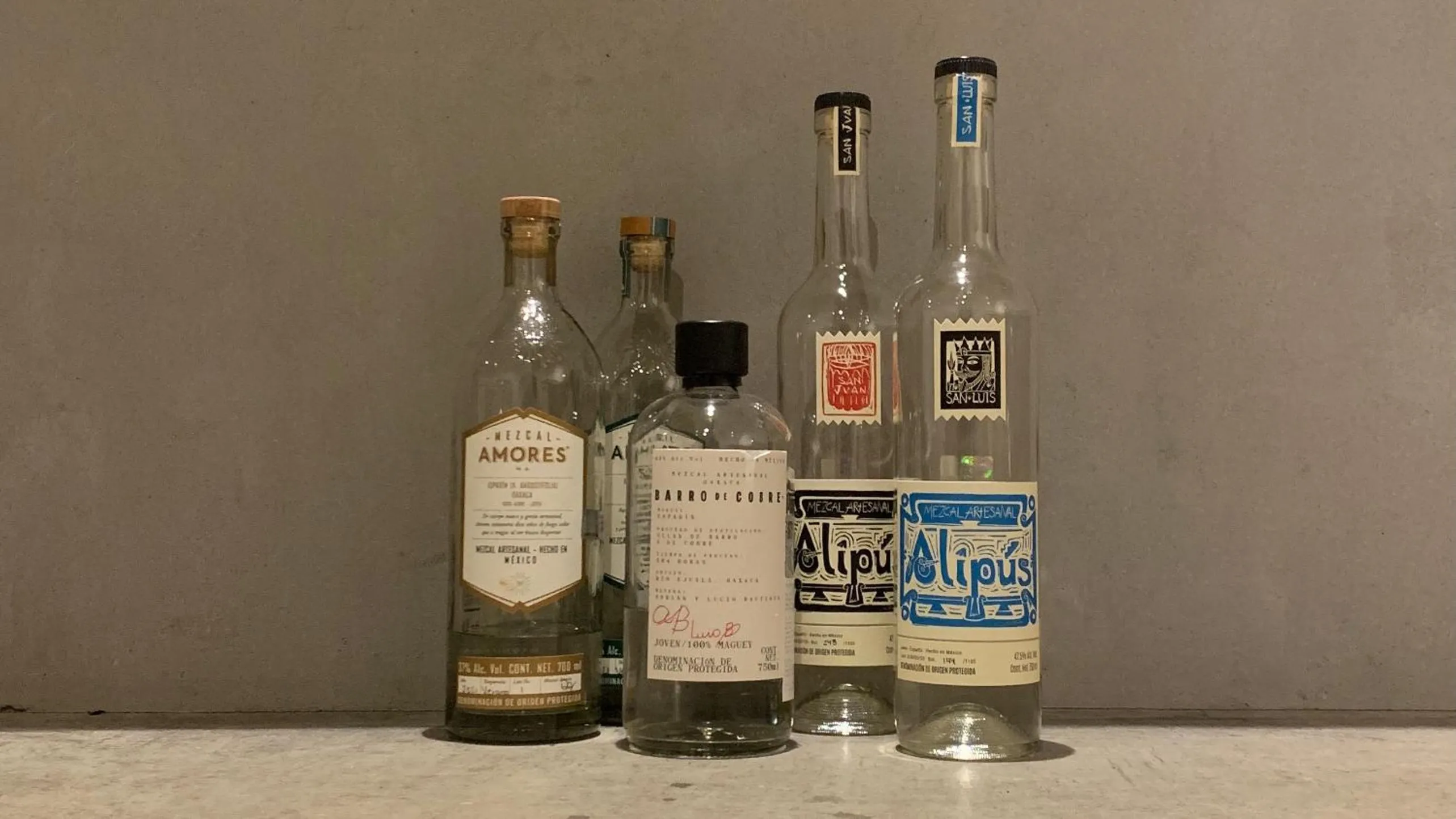 Lounge or bar in hostel mog