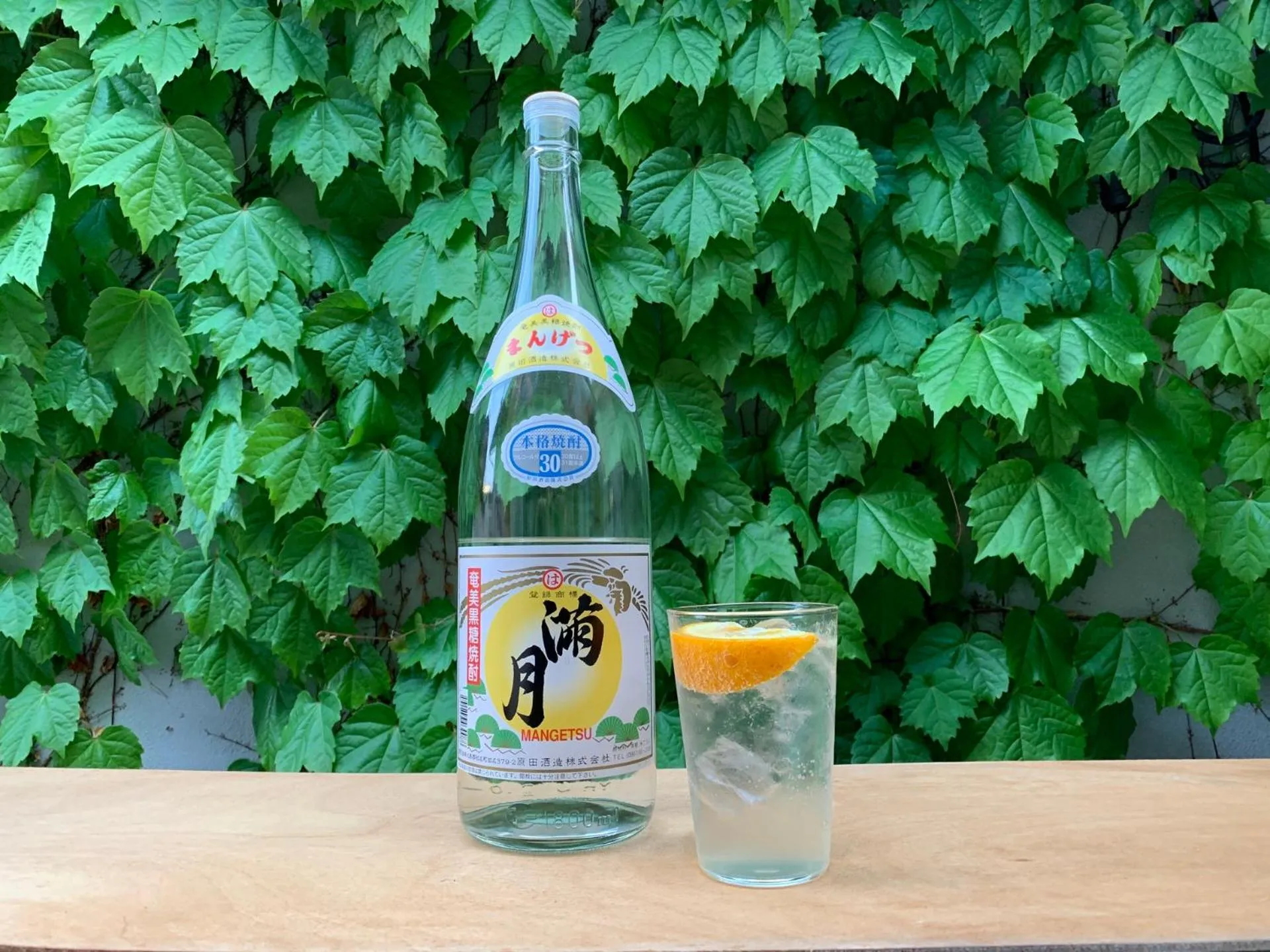 Lounge or bar in hostel mog