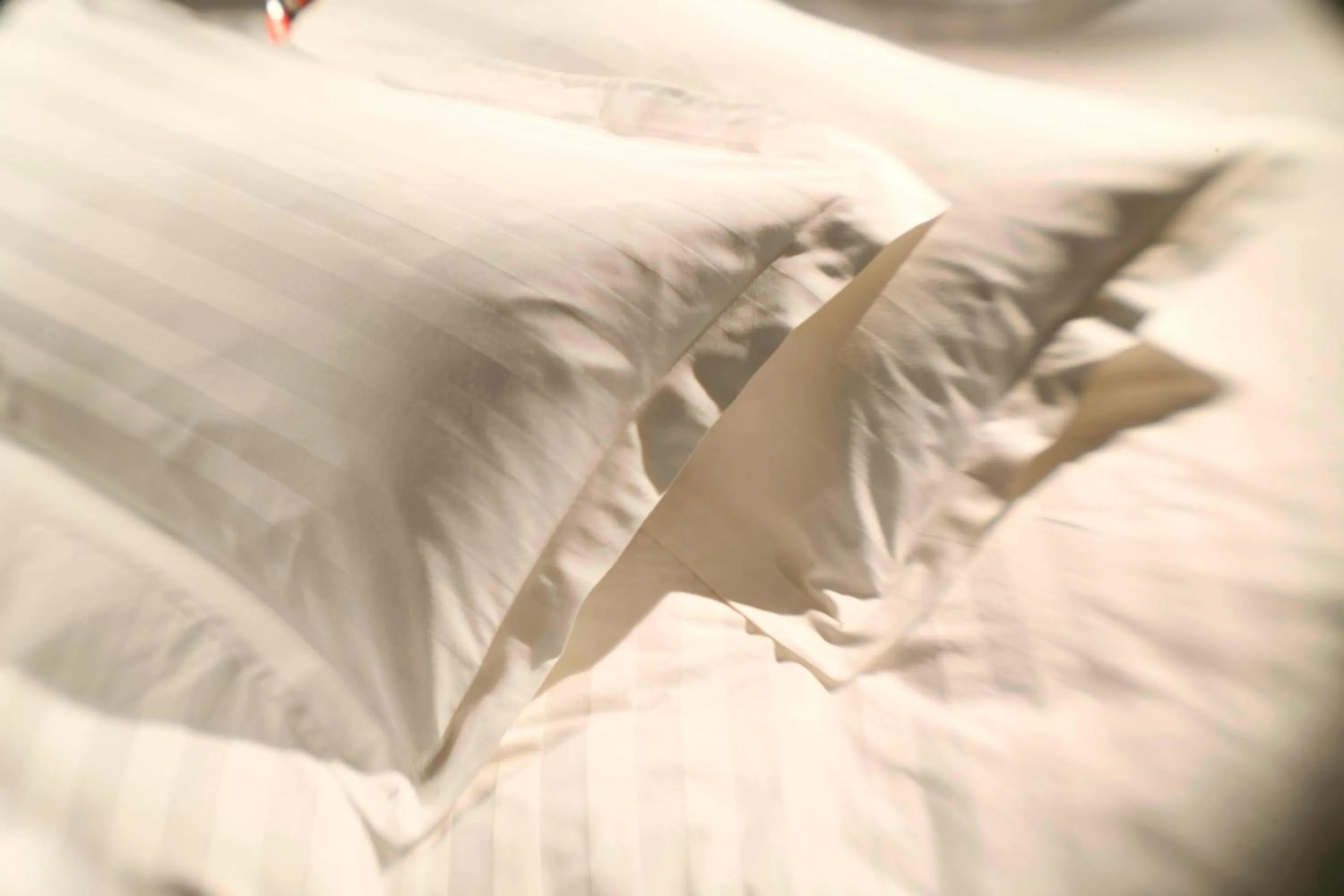 Photo of the whole room, Bed in San Diego Marriott Gaslamp Quarter