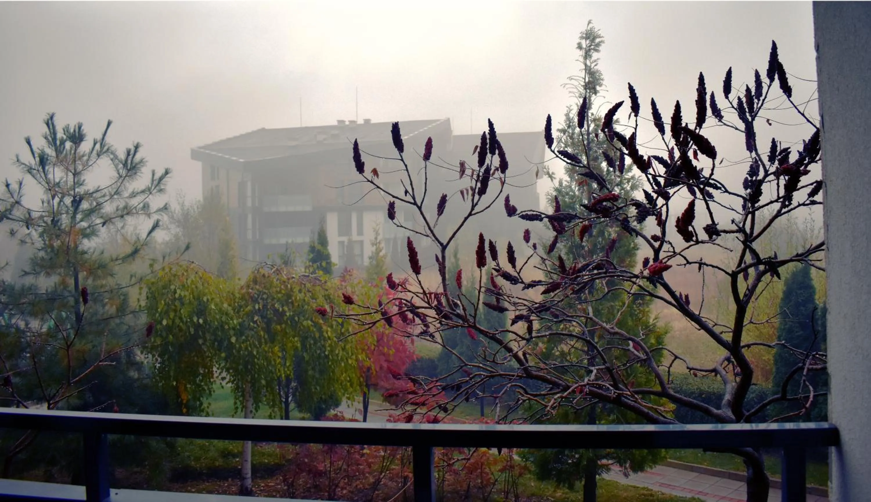 Balcony/Terrace in Aspen Ski and Golf Resort
