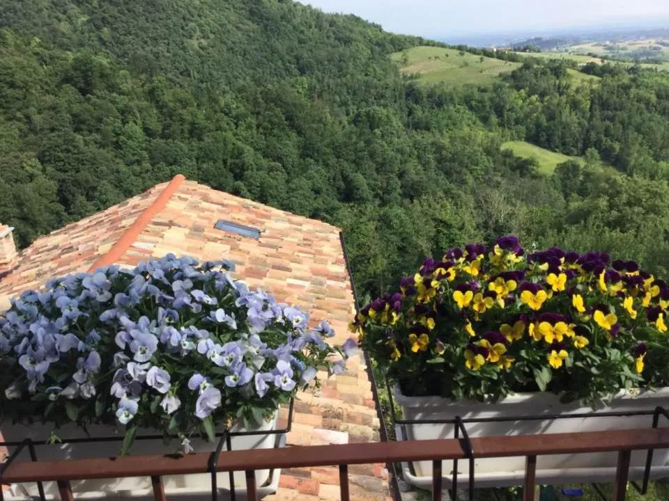 Balcony/Terrace in B&B Monferrato La Casa Sui Tetti