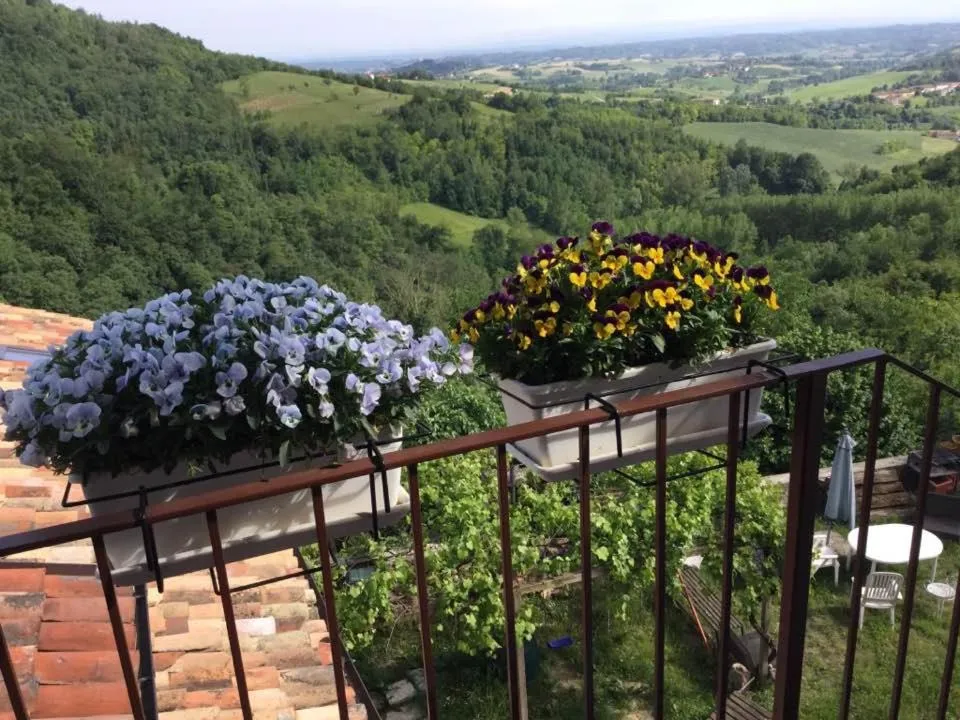 Balcony/Terrace in B&B Monferrato La Casa Sui Tetti