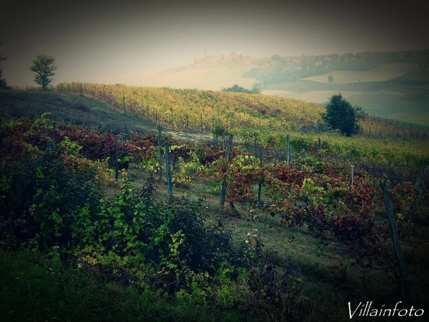 B&B Monferrato La Casa Sui Tetti