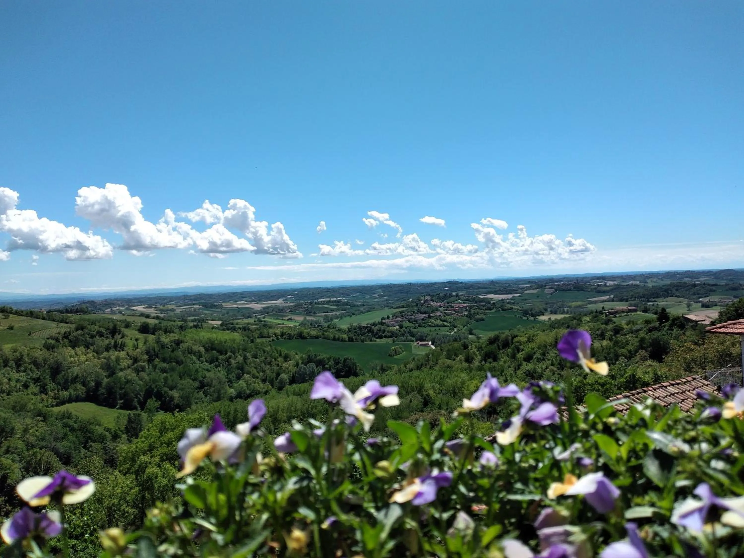 Balcony/Terrace in B&B Monferrato La Casa Sui Tetti