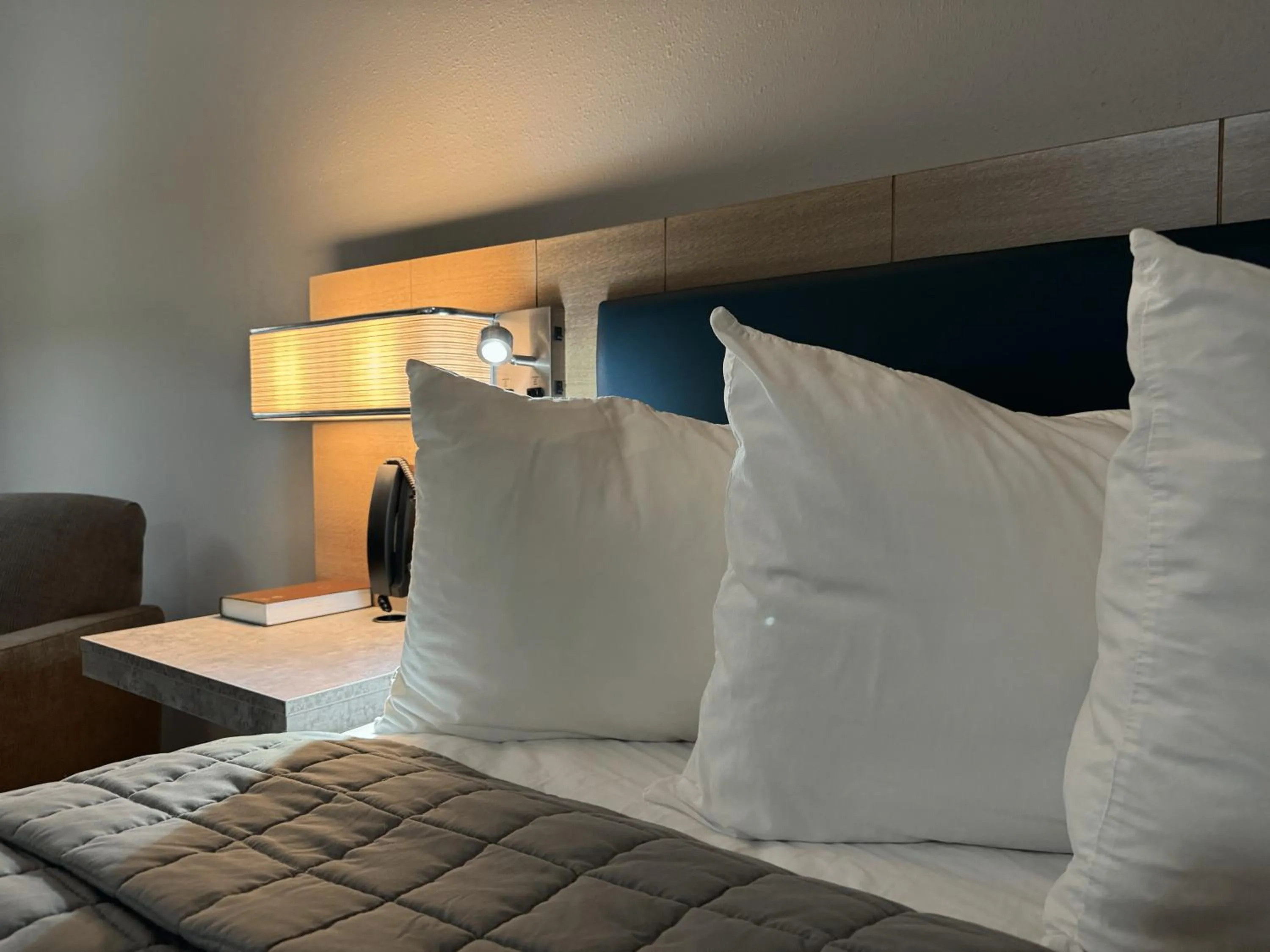 Bearcat Inn and Suites