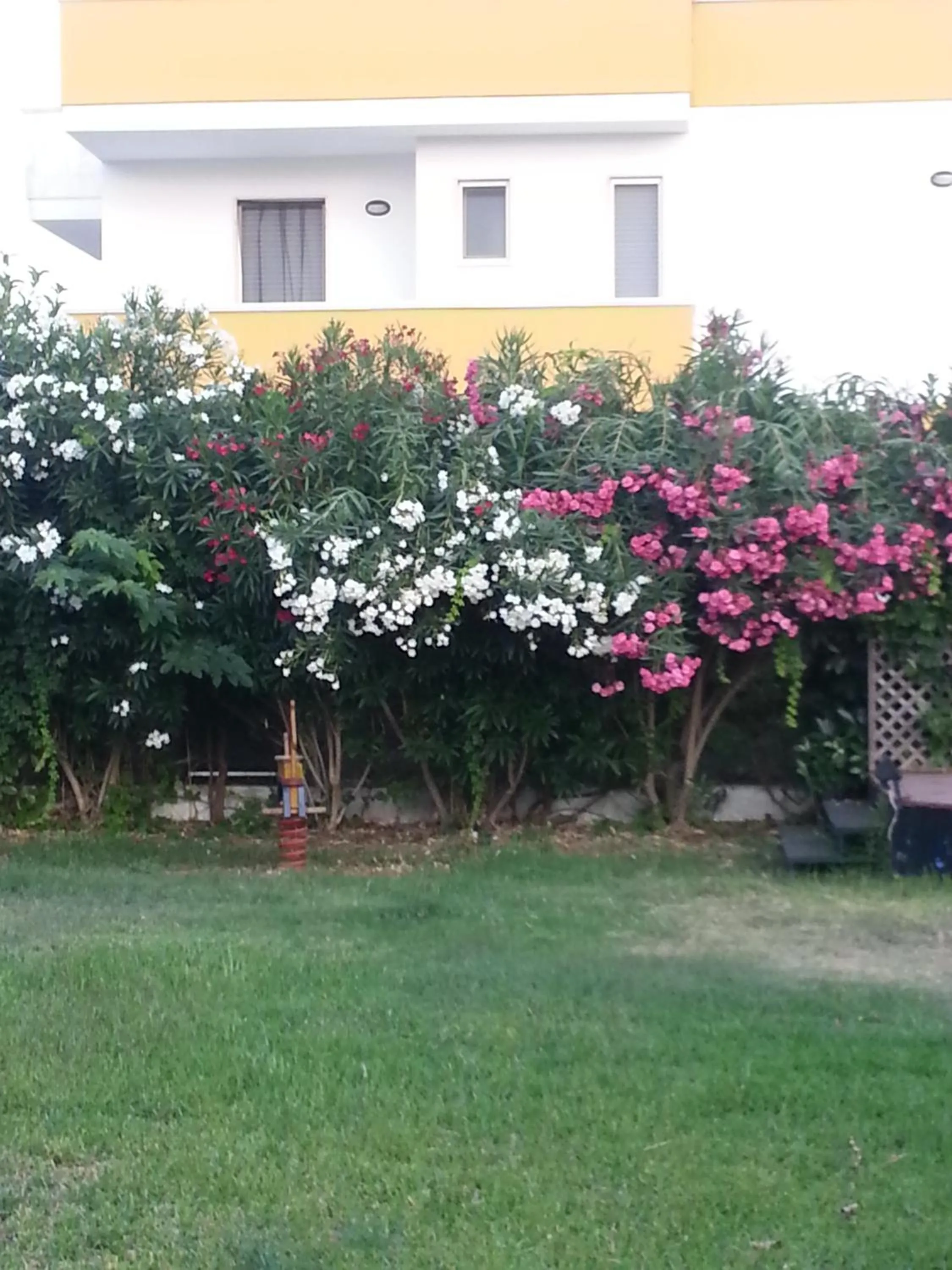 Garden in Residence Rivamare Ugento