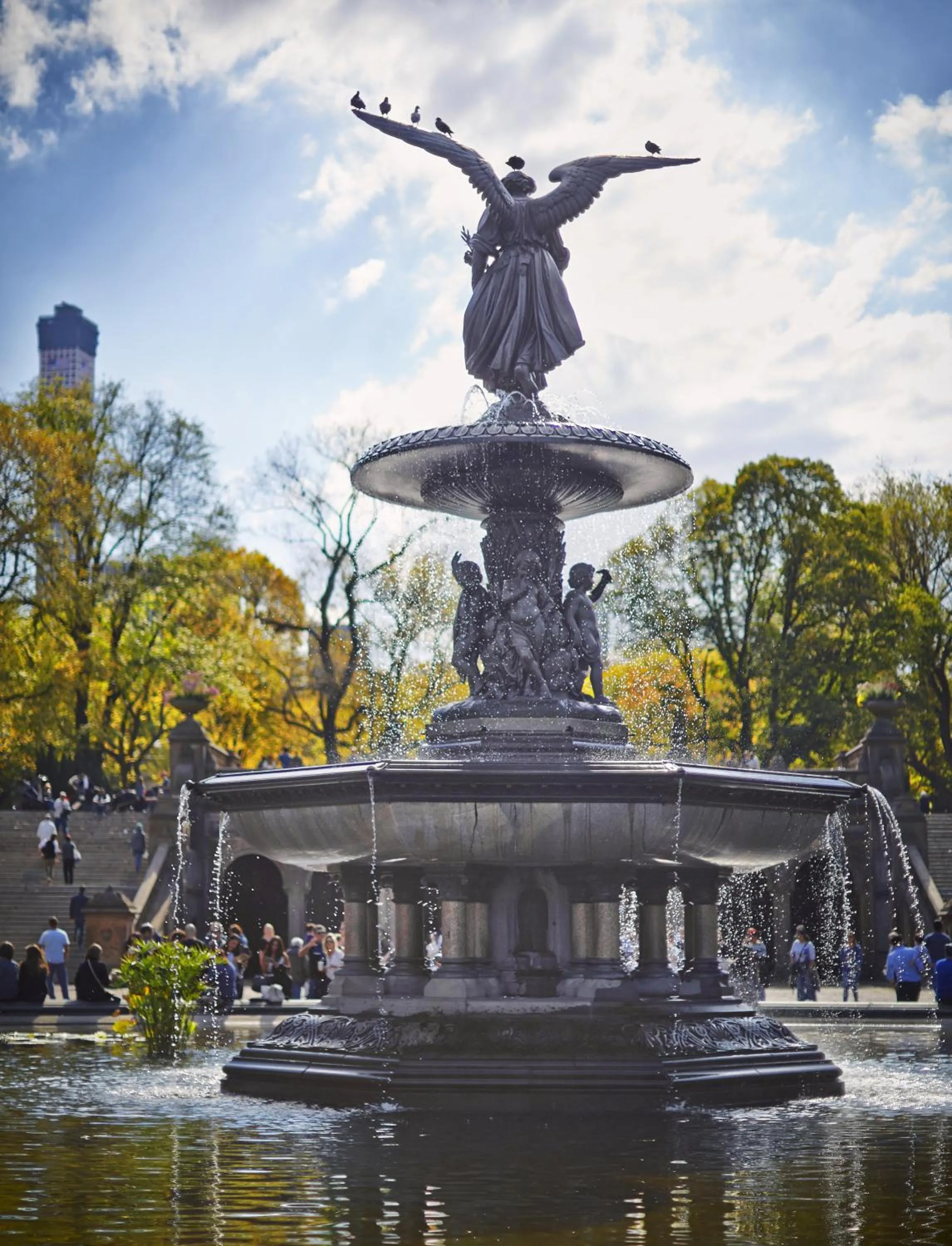 Area and facilities in The Gardens Sonesta ES Suites New York