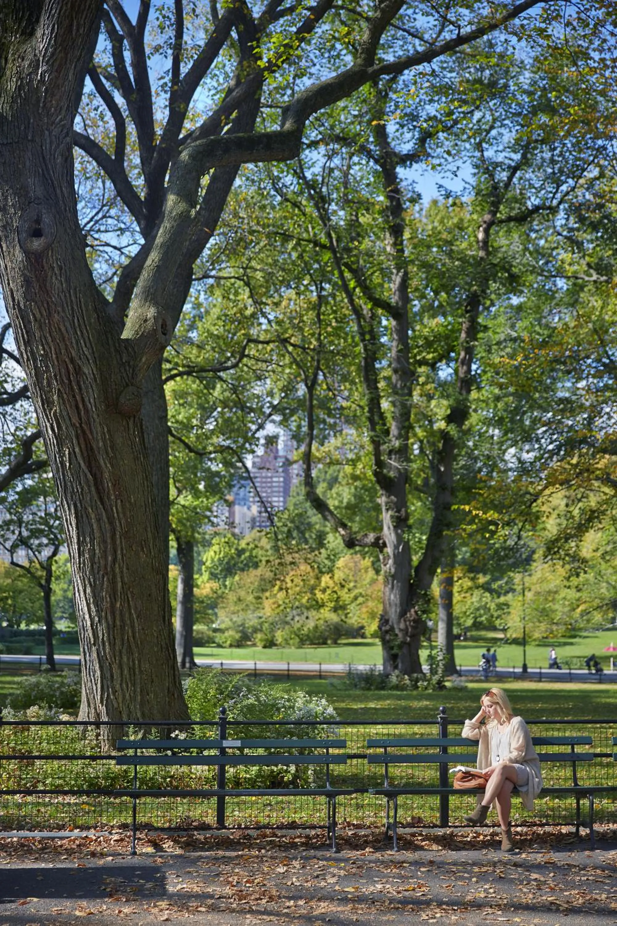 Area and facilities in The Gardens Sonesta ES Suites New York