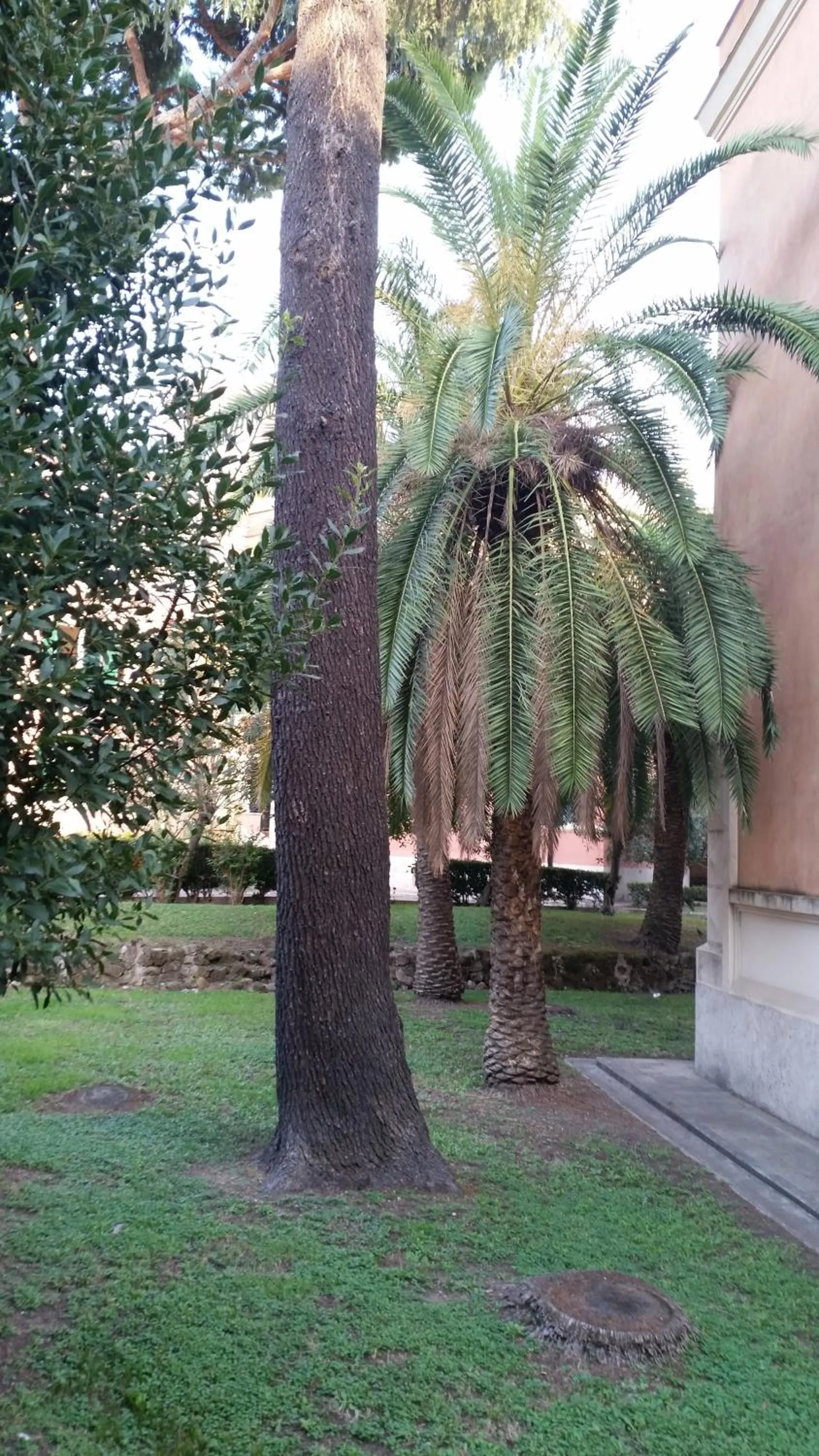 Garden view in Vecchia Roma Resort