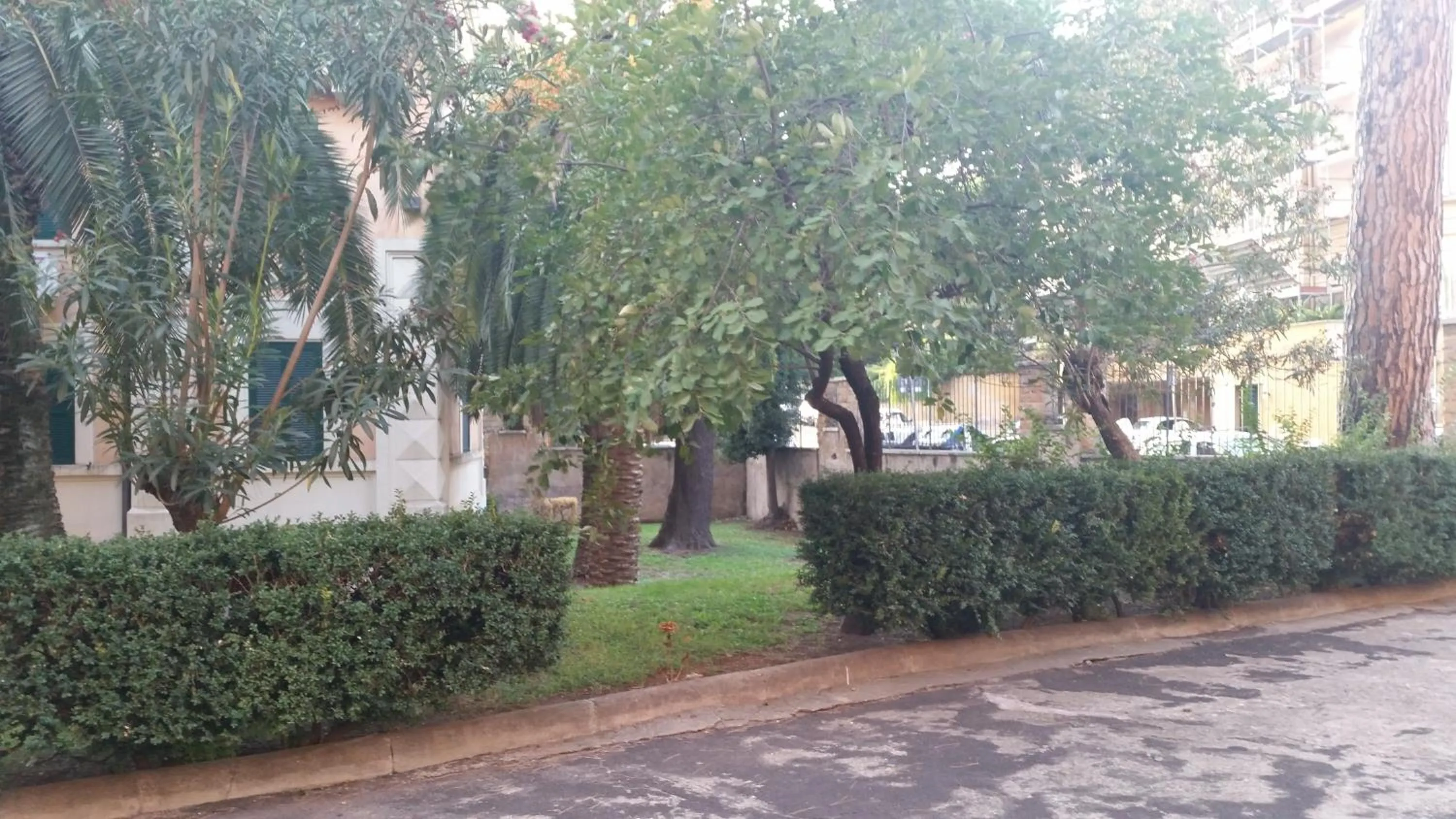 Garden view in Vecchia Roma Resort