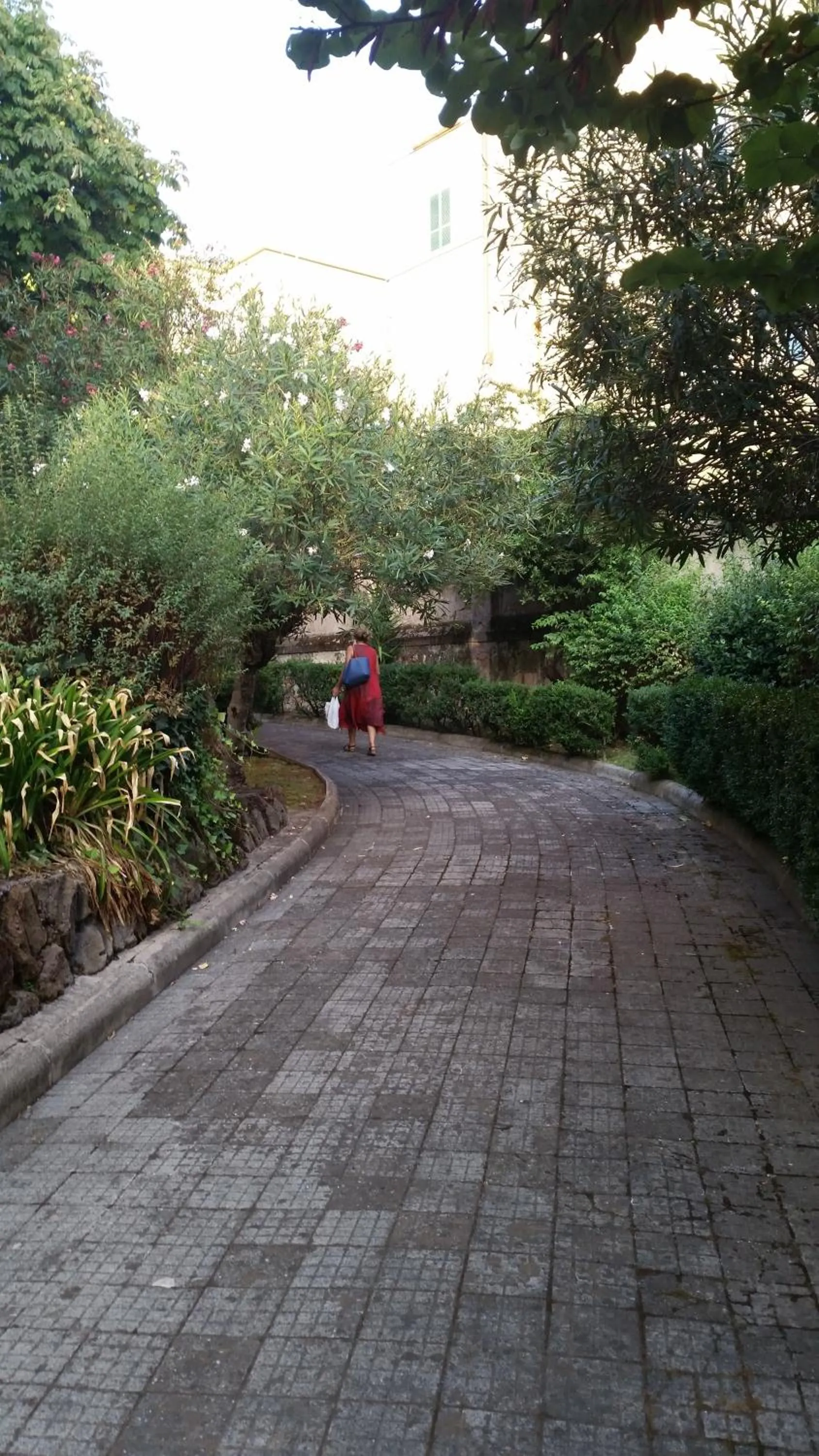 Garden view in Vecchia Roma Resort