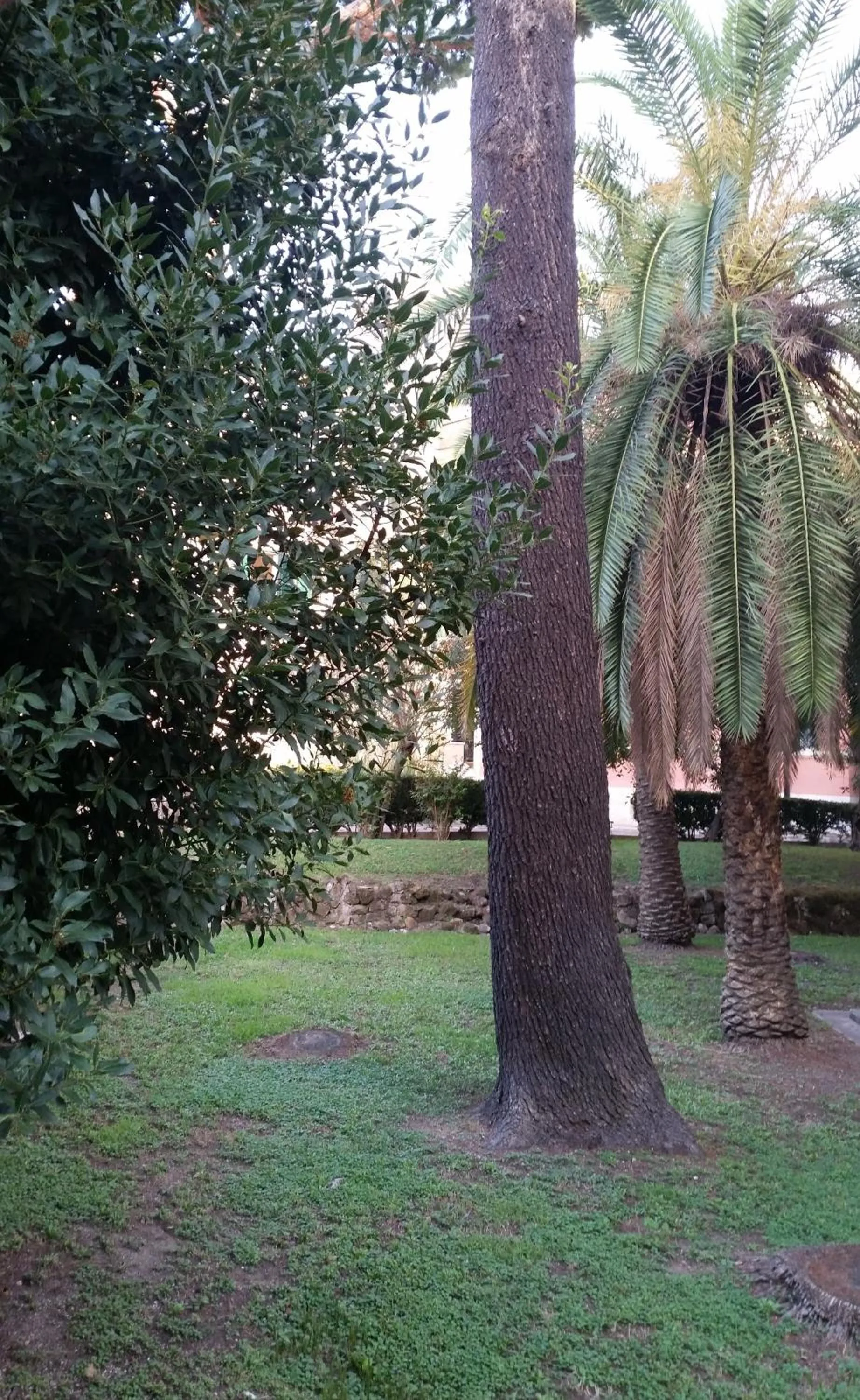 Garden view in Vecchia Roma Resort