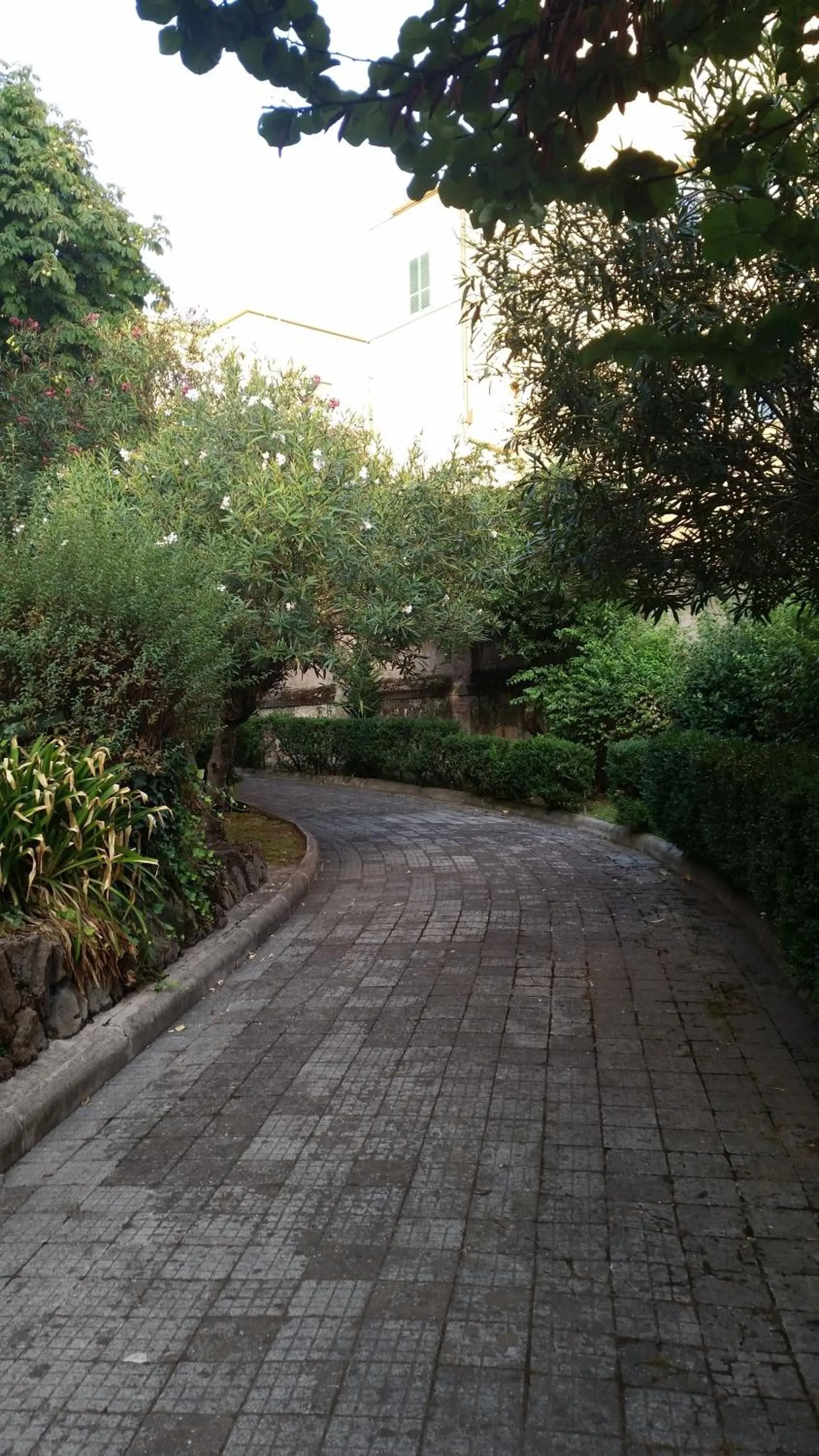 Garden view in Vecchia Roma Resort