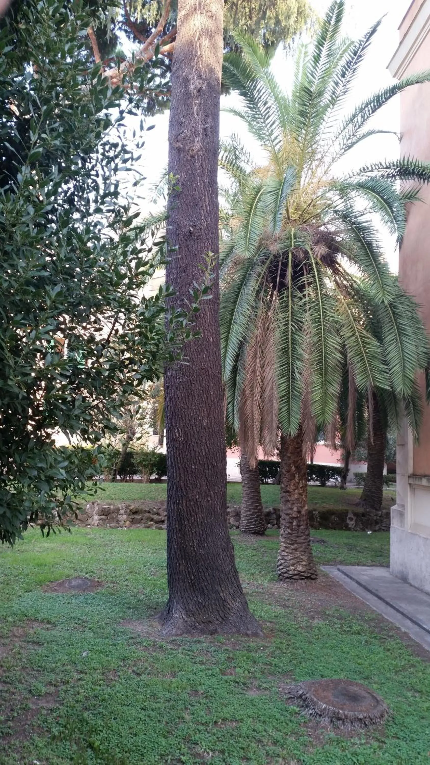 Garden view in Vecchia Roma Resort