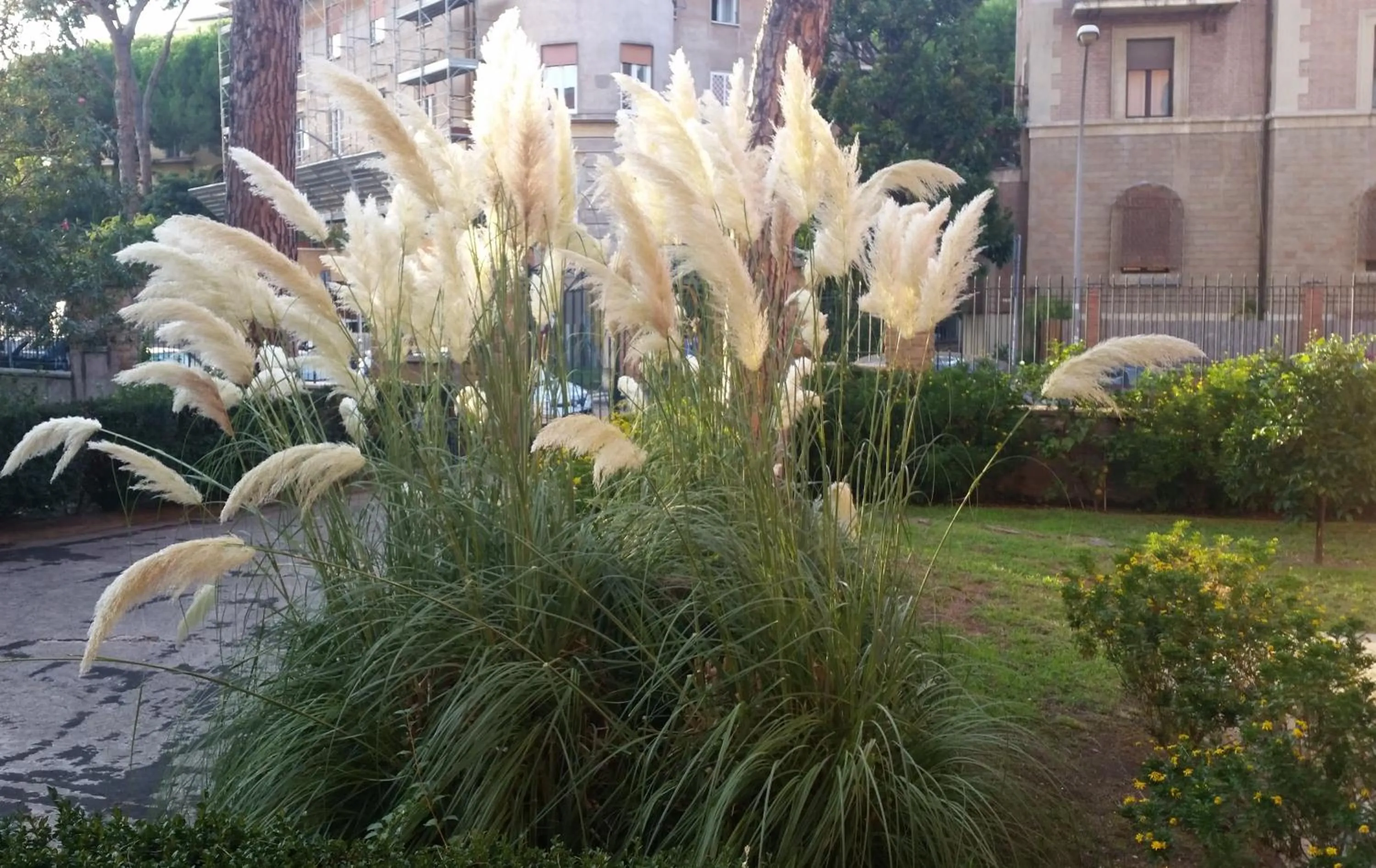 Property building in Vecchia Roma Resort