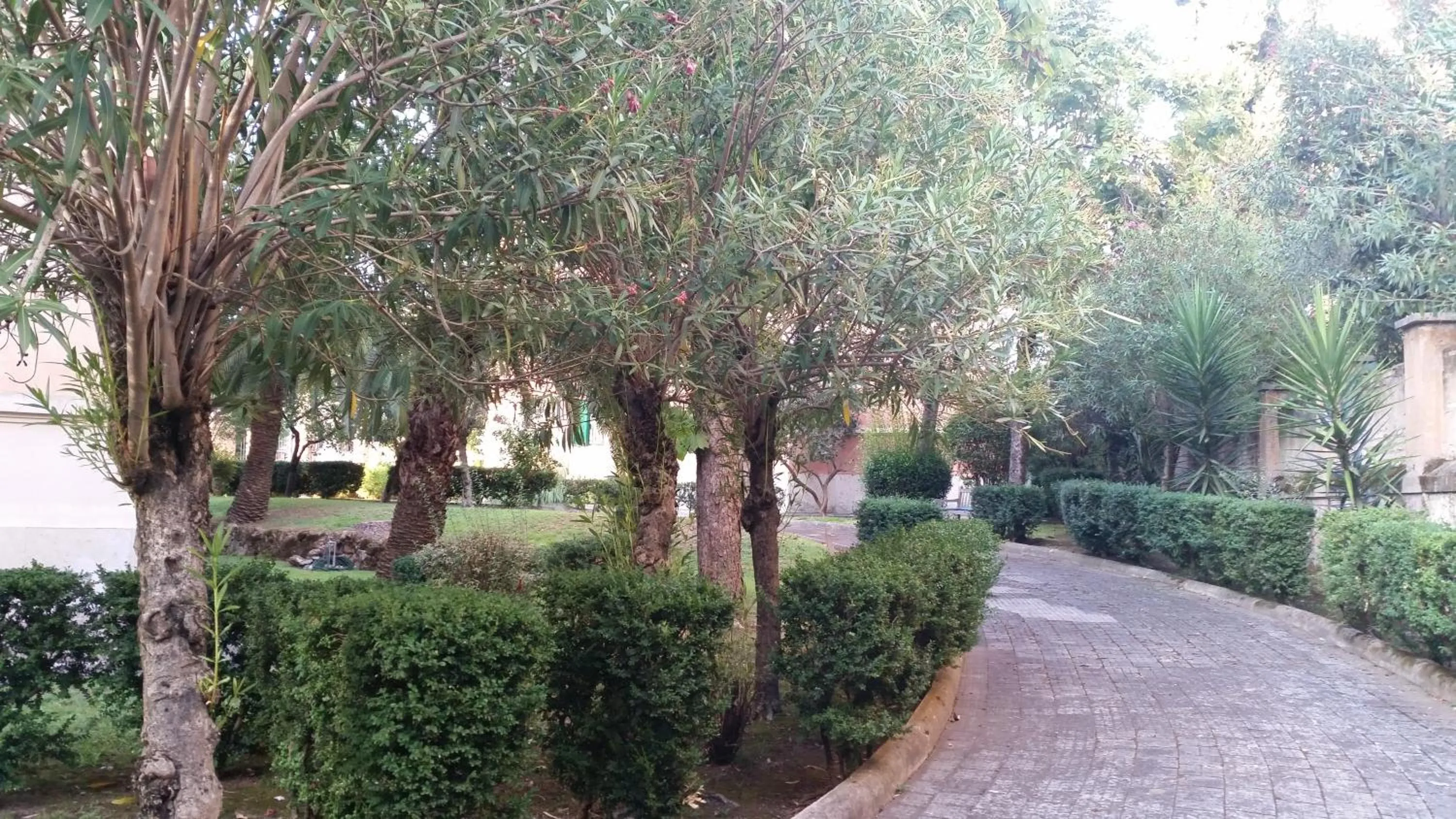 Garden view in Vecchia Roma Resort
