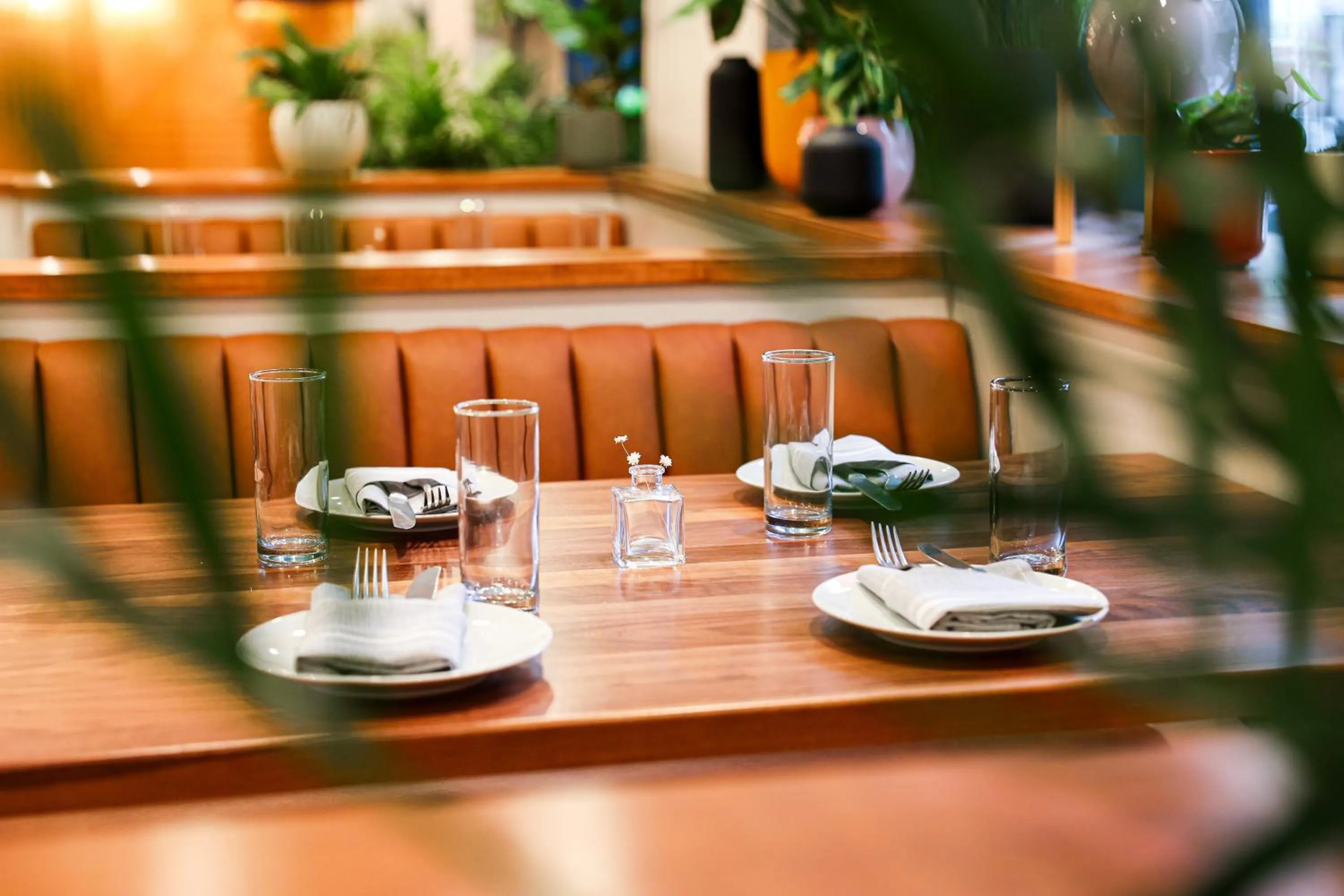 Restaurant/places to eat in The Shelburne Sonesta New York