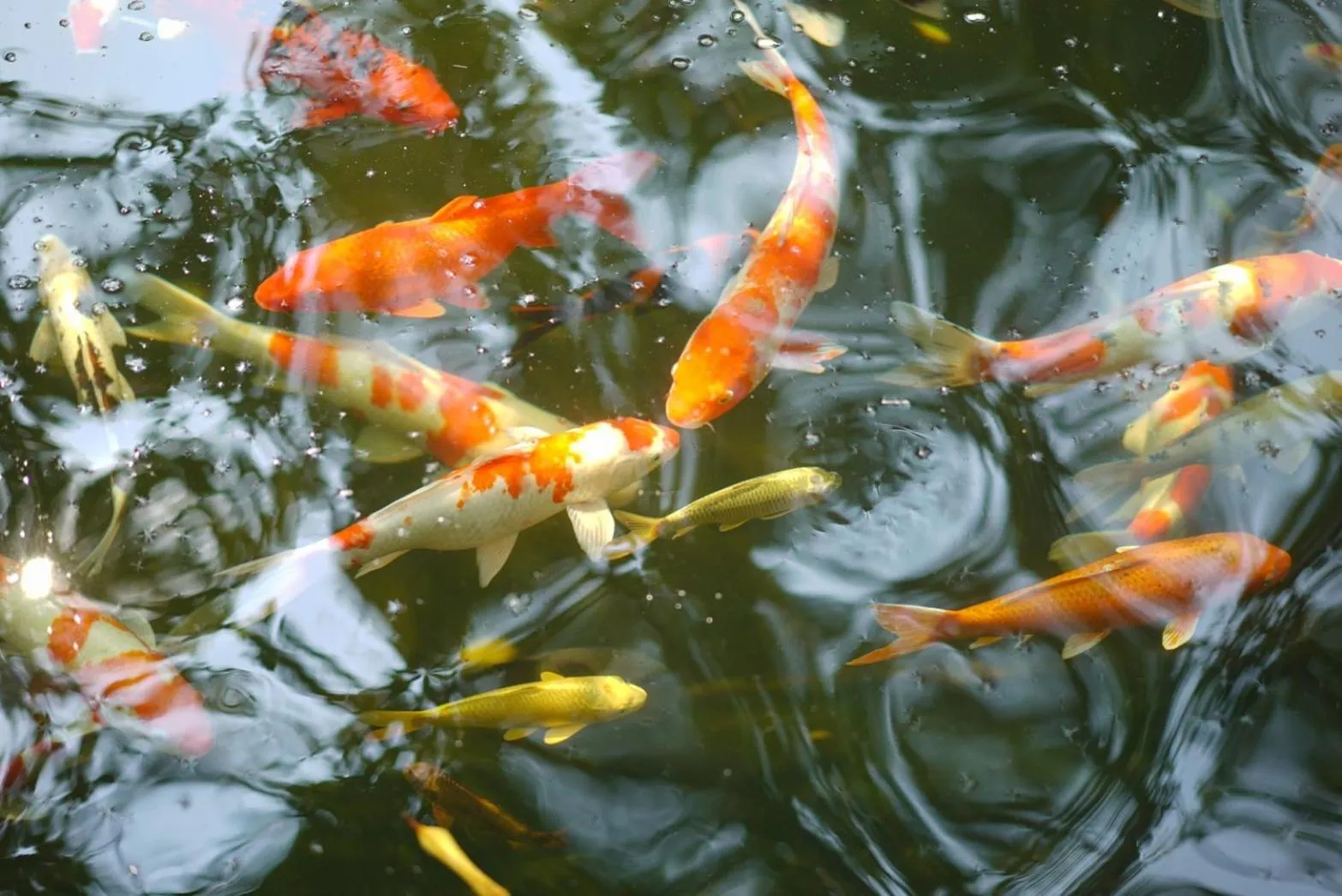 View (from property/room) in Chayana Resort