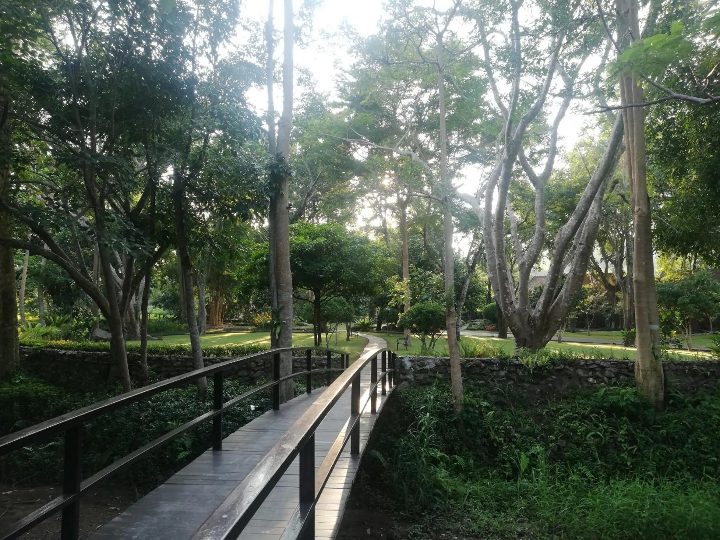 Garden in Chayana Resort